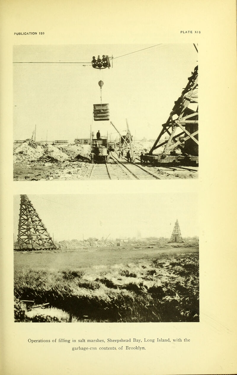 Operations of filling in salt marshes, Sheepshead Bay, Long Island, with the garbage-can contents, of Brooklyn.