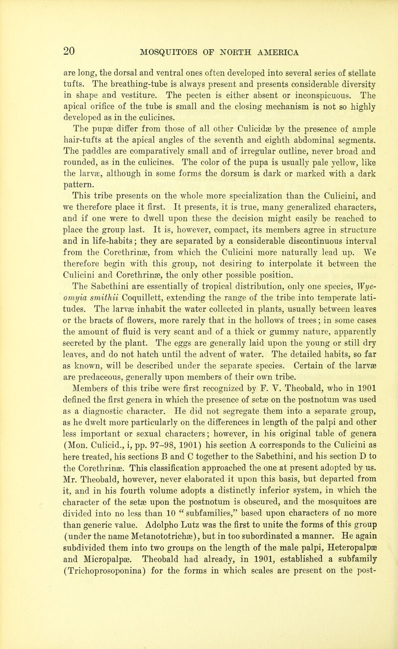 are long, the dorsal and ventral ones often developed into several series of stellate tufts. The breathing-tube is always present and presents considerable diversity in shape and vestiture. The pecten is either absent or inconspicuous. The apical orifice of the tube is small and the closing mechanism is not so highly develojDed as in the culicines. The pupjB differ from those of all other Culicidse by the presence of ample hair-tufts at the apical angles of the seventh and eighth abdominal segments. The paddles are comparatively small and of irregular outline, never broad and rounded, as in the culicines. The color of the pupa is usually pale yellow, like the larvsE, although in some forms the dorsum is dark or marked with a dark pattern. This tribe presents on the whole more specialization than the Culicini, and we therefore place it first. It presents, it is true, many generalized characters, and if one were to dwell upon these the decision might easily be reached to place the group last. It is, however, compact, its members agree in structure and in life-habits; they are separated by a considerable discontinuous interval from the Corethrinse, from which the Culicini more naturally lead up. We therefore begin with this group, not desiring to interpolate it between the Culicini and Corethrinse, the only other possible position. The Sabethini are essentially of tropical distribution, only one species, Wye- omyia smithii Coquillett, extending the range of the tribe into temperate lati- tudes. The larvae inhabit the water collected in plants, usually between leaves or the bracts of flowers, more rarely that in the hollows of trees; in some cases the amount of fluid is very scant and of a thick or gummy nature, apparently secreted by the plant. The eggs are generally laid upon the young or still dry leaves, and do not hatch until the advent of water. The detailed habits, so far as known, will be described under the separate species. Certain of the larvae are predaceous, generally upon members of their own tribe. Members of this tribe were first recognized by P. V. Theobald, who in 1901 defined the first genera in which the presence of setas on the postnotum was used as a diagnostic character. He did not segregate them into a separate group, as he dwelt more particularly on the differences in length of the palpi and other less important or sexual characters; however, in his original table of genera (Mon. Culicid., i, pp. 97-98, 1901) his section A corresponds to the Culicini as here treated, his sections B and C together to the Sabethini, and his section D to the Corethrinae. This classification approached the one at present adopted by us, Mr. Theobald, however, never elaborated it upon this basis, but departed from it, and in his fourth volume adopts a distinctly inferior system, in which the character of the setas upon the postnotum is obscured, and the mosquitoes are divided into no less than 10  subfamilies, based upon characters of no more than generic value. Adolpho Lutz was the first to unite the forms of this group (under the name MetanototrichEe), but in too subordinated a manner. He again subdivided them into two groups on the length of the male palpi, Heteropalpas and Micropalpas. Theobald had already, in 1901, established a subfamily (Trichoprosoponina) for the forms in which scales are present on the post-