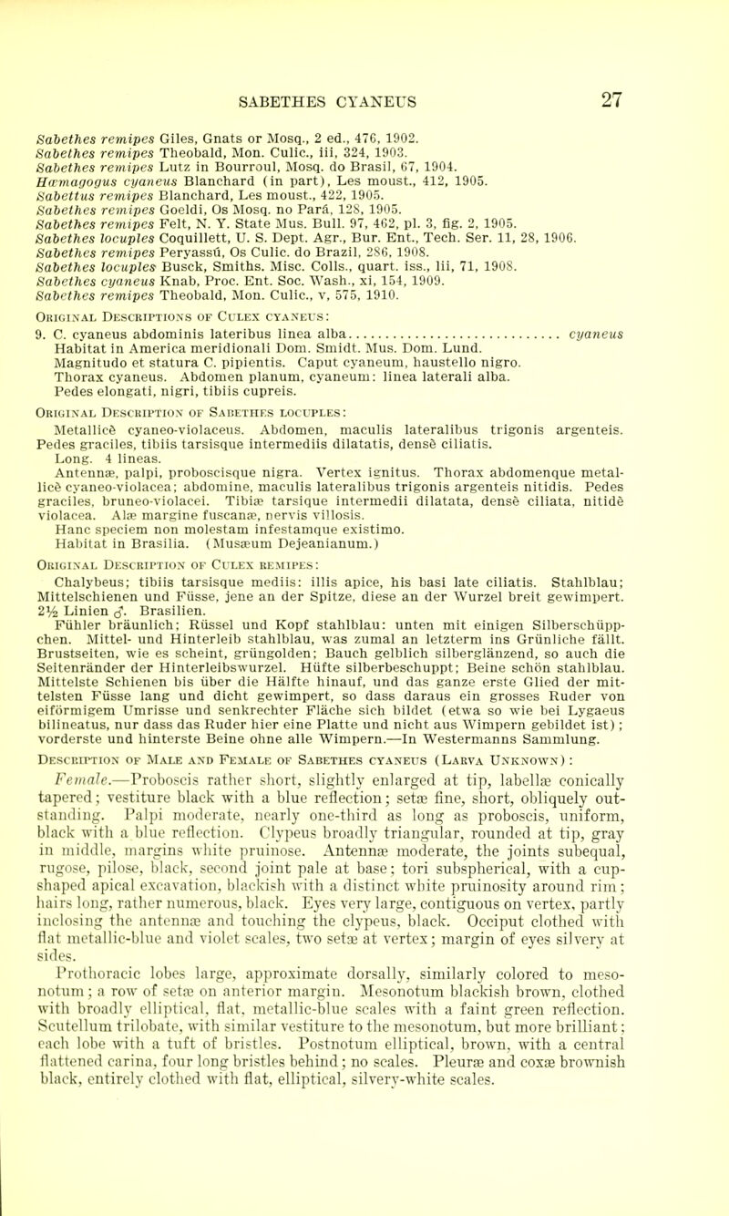 Satethes remipes Giles, Gnats or Mosq., 2 ed., 476, 1902. Sabethes remipes Theobald, Mon. Culic, ill, 324, 1903. Sabethes remipes Lutz in Bourroul, Mosq. do Brasil, 67, 1904. Hwmagogus cyaneus Blanchard (in part), Les moust., 412, 1905. Sabettus remipes Blanchard, Les moust., 422, 1905. Sabethes remipes Goeldi, Os Mosq. no Parft, 128, 1905. Sabethes remipes Felt, N. Y. State Mus. Bull. 97, 402, pi. 3, fig. 2, 1905. Sabethes locuples Coquillett, U. S. Dept. Agr., Bur. Ent., Tech. Ser. 11, 28, 1906. Sabethes remipes Peryassil, Os Culic. do Brazil, 2S6, 1908. Sabethes locuples Busck, Smiths. Misc. Colls., quart, iss., lii, 71, 1908. Sabethes cyaneus Knab, Proc. Ent. Soc. Wash., xi, 154, 1909. Sabethes remipes Theobald, Mon. Culic, v, 575, 1910. Origixal Descriptio.ns of Culex cyanels: 9. C. cyaneus abdominis lateribus linea alba cyaneus Habitat in America meridionali Dom. Smidt. Mus. Dom. Lund. Magnitudo et statura C. pipientis. Caput cyaneum, haustello nigro. Thorax cyaneus. Abdomen planum, cyaneum: linea laterali alba. Pedes elongati, nigri, tibiis cupreis. Okigi.nal Desckii'tiox of Sadethes locuples: Metallic^ cyaneo-violaceus. Abdomen, maculis lateralibus trigonis argenteis. Pedes graciles, tibiis tarsisque intermediis dilatatis, dens6 ciliatis. Long. 4 lineas. Antennae, palpi, proboscisque nigra. Vertex ignitus. Thorax abdomenque metal- lic6 cyaneo-violacea; abdomine, maculis lateralibus trigonis argenteis nitidis. Pedes graciles, bruneo-violacei. Tibiae tarsique intermedii dilatata, dense ciliata, nitide violacea. AIje margine fuscanse, nervis villosis. Hanc speciem non molestam infestamque existimo. Habitat in Brasilia. (Musaeum Dejeanianum.) Ouigixal Descrii'tiox of Culex RE^rIPEs: Chalybeus; tibiis tarsisque mediis: illis apice, his basi late ciliatis. Stahlblau; Mittelschienen und Fiisse. jene an der Spitze, diese an der Wurzel breit gewimpert. 2Vi Linien c?. Brasilien. Fiihler braunlich; Riissel und Kopf stahlblau: unten mit einigen Silberschiipp- chen. Mittel- und Hinterleib stahlblau, was zumal an letzterm ins Griinliche fallt. Brustseiten, wie es scheint, griingolden; Bauch gelblich silberglanzend, so auch die Seitenrander der Hinterleibswurzel. Hiifte silberbeschuppt; Beine schon stahlblau. Mittelste Schienen bis iiber die Halfte hinauf, und das ganze erste Glied der mit- telsten Fiisse lang und dicht gewimpert, so dass daraus ein grosses Ruder von eiformigem Umrisse und senkrechter Flache sich bildet (etwa so wie bei Lygaeus bilineatus, nur dass das Ruder hier eine Platte und nicht aus Wimpern gebildet ist); vorderste und hinterste Beine ohne alle Wimpern.—In Westermanns Sammlung. DESCP.IPTI0X OF Male axd Female of Sabethes cyaneus (Larva Unkxown) : Female.—Proboscis rather short, slightly enlarged at tip, labellae eonically tapered; vestiture black with a blue reflection; sets fine, short, obliquely out- standing. Palpi moderate, nearly one-third as long as proboscis, uniform, black with a blue reflection. Clypeus broadly trian,gular, rounded at tip, gray in middle, margins white pruinose. Antennae moderate, the joints subequal, rugose, pilose, black, second joint pale at base; tori subspherical, with a cup- shaped apical excavation, blacki.*h with a distinct white pruinosity around rim; hairs long, rather numerous, black. Eyes very large, contiguous on vertex, partly inclosing the antennae and touching the clypeus, black. Occiput clothed with flat metallic-blue and violet scales, two setae at vertex; margin of eyes silvery at sides. I'nitlioracic lobes large, approximate dorsally, similarly colored to meso- notum; a row of seta3 on anterior margin. Mesonotum blackish brown, clothed with broadly elliptical, flat, metallic-blue scales with a faint green reflection. Scutellum trilobate, with similar vestiture to the mesonotum, but more brilliant; each lobe with a tuft of bristles. Postnotum elliptical, brown, with a central flattened carina, four long bristles behind; no scales. Pleurae and coxae brownish black, entirely clothed with flat, elliptical, silvery-white scales.