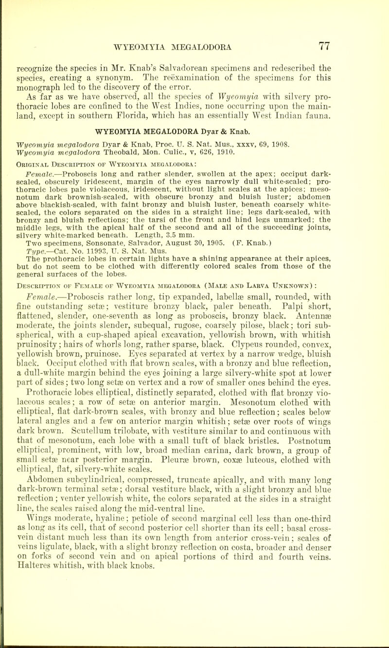 recognize the species in Mr. Knab's Salvadorean specimens and redescribed the species, creating a synonym. The reexamination of the specimens for this monograph led to the discovery of the error. As far as we have observed, all the species of Wycomyia with silvery pro- thoracic lobes are confined to the West Indies, none occurring upon the main- land, except in southern Florida, which has an essentially West Indian fauna. WYEOMYIA MEGALODORA Dyar & Knab. Wyeomyia megalodora Dyar & Knab, Proc. U. S. Nat. Mus., xxxv, 69, 1908. Wyeomyia megalodora Theobald, Mon. Culic, v, 626, 1910. Original Description of Wyeomyia megalodora: Female.—Proboscis long and rather slender, swollen at the apex; occiput dark- scaled, obscurely iridescent, margin of the eyes narrowly dull white-scaled; pro- thoracic lobes pale violaceous, iridescent, without light scales at the apices; meso- notum dark brownish-scaled, with obscure bronzy and bluish luster; abdomen above blackish-scaled, with faint bronzy and bluish luster, beneath coarsely white- scaled, the colors separated on the sides in a straight line; legs dark-scaled, with bronzy and bluish reflections; the tarsi of the front and hind legs unmarked; the middle legs, with the apical half of the second and all of the succeeding joints, silvery white-marked beneath. Length, 3.5 mm. Two specimens, Sonsonate. Salvador, August 30, 1905. (F. Knab.) Type.—Cat. No. 11993, U. S. Nat. Mus. The prothoracic lobes in certain lights have a shining appearance at their apices, but do not seem to be clothed with differently colored scales from those of the general surfaces of the lobes. Description of Female of Wyeomyia megalodora (Male and Larva Unknown) : Female.—Proboscis rather long, tip expanded, labelltE small, rounded, with fine outstanding setas; vestiture bronzy black, paler beneath. Palpi short, flattened, slender, one-seventh as long as proboscis, bronzy black. Antennse moderate, the joints slender, subequal, rugose, coarsely pilose, black ; tori sub- spherical, with a cup-shaped apical excavation, yellowish brown, with whitish pritinosity; hairs of whorls long, rather sparse, black. Clypeus rounded, convex, yellowish brown, pruinose. Eyes separated at vertex by a narrow wedge, bluish black. Occiput clotlied with flat brown scales, with a bronzy and blue reflection, a dull-white margin behind the eyes joining a large silvery-white spot at lower part of sides; two long setse on vertex and a row of smaller ones behind the eyes. Prothoracic lobes elliptical, distinctly separated, clothed with flat bronzy vio- laceous scales ; a row of setae on anterior margin. Mesonotum clothed with elliptical, flat dark-brown scales, with bronzy and blue reflection; scales below lateral angles and a few on anterior margin whitish; set^ over roots of wings dark brown. Scutellum trilobate, M'ith vestiture similar to and continuous with that of mesonotum, each lobe with a small tuft of black bristles. Postnotum elliptical, prominent, with low, broad median carina, dark brown, a group of small setse near posterior margin. Pleurte brown, coxse luteous, clothed with elliptical, flat, silvery-white scales. Abdomen subcylindrical, compressed, truncate apically, and with many long dark-brown terminal setse; dorsal vestiture black, with a slight bronzy and blue reflection ; venter yellowish white, the colors separated at the sides in a straight line, the scales raised along the mid-ventral line. Wings moderate, hyaline; petiole of second marginal cell less than one-third as long as its cell, that of second posterior cell shorter than its cell; basal cross- vein distant much less than its own length from anterior cross-vein: scales of veins ligulate, black, with a slight bronzy reflection on costa, broader and denser on forks of second vein and on apical portions of third and fourth veins. Halteres whitish, with black knobs.