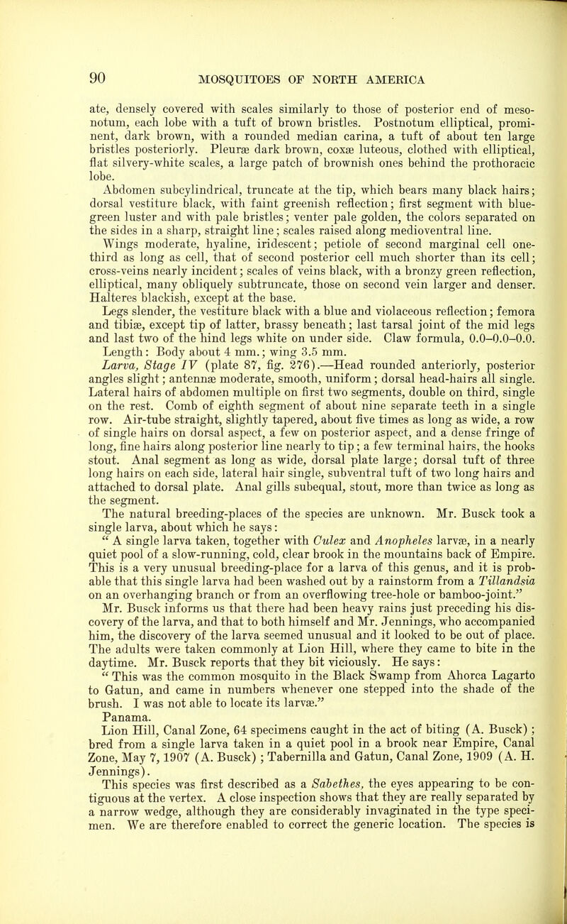 ate, densely covered with scales similarly to those of posterior end of meso- notum, each lobe with a tuft of brown bristles. Postnotum elliptical, promi- nent, dark brown, with a rounded median carina, a tuft of about ten large bristles posteriorly. Pleurae dark brown, coxae luteous, clothed with elliptical, flat silvery-white scales, a large patch of brownish ones behind the prothoracic lobe. Abdomen subcylindrical, truncate at the tip, which bears many black hairs; dorsal vestiture black, with faint greenish reflection; first segment with blue- green luster and with pale bristles; venter pale golden, the colors separated on the sides in a sharp, straight line; scales raised along medioventral line. Wings moderate, hyaline, iridescent; petiole of second marginal cell one- third as long as cell, that of second posterior cell much shorter than its cell; cross-veins nearly incident; scales of veins black, with a bronzy green reflection, elliptical, many obliquely subtruncate, those on second vein larger and denser. Halteres blackish, except at the base. Legs slender, the vestiture black with a blue and violaceous reflection; femora and tibiae, except tip of latter, brassy beneath; last tarsal joint of the mid legs and last two of the hind legs white on under side. Claw formula, 0.0-0.0-0.0. Length: Body about 4 mm.; wing 3.5 mm. Larva, Stage IV (plate 87, fig. 276).—Head rounded anteriorly, posterior angles slight; antennae moderate, smooth, uniform; dorsal head-hairs all single. Lateral hairs of abdomen multiple on first two segments, double on third, single on the rest. Comb of eighth segment of about nine separate teeth in a single row. Air-tube straight, slightly tapered, about five times as long as wide, a row of single hairs on dorsal aspect, a few on posterior aspect, and a dense fringe of long, fine hairs along posterior line nearly to tip; a few terminal hairs, the hooks stout. Anal segment as long as wide, dorsal plate large; dorsal tuft of three long hairs on each side, lateral hair single, subventral tuft of two long hairs and attached to dorsal plate. Anal gills subequal, stout, more than twice as long as the segment. The natural breeding-places of the species are unknown. Mr. Busck took a single larva, about which he says:  A single larva taken, together with Culex and Anopheles larvae, in a nearly quiet pool of a slow-running, cold, clear brook in the mountains back of Empire. This is a very unusual breeding-place for a larva of this genus, and it is prob- able that this single larva had been washed out by a rainstorm from a Tillandsia on an overhanging branch or from an overflowing tree-hole or bamboo-joint. Mr. Busck informs us that there had been heavy rains just preceding his dis- covery of the larva, and that to both himself and Mr. Jennings, who accompanied him, the discovery of the larva seemed unusual and it looked to be out of place. The adults were taken commonly at Lion Hill, where they came to bite in the daytime. Mr. Busck reports that they bit viciously. He says:  This was the common mosquito in the Black Swamp from Ahorca Lagarto to Gatun, and came in numbers whenever one stepped into the shade of the brush. I was not able to locate its larvae. Panama. Lion Hill, Canal Zone, 64 specimens caught in the act of biting (A. Busck) ; bred from a single larva taken in a quiet pool in a brook near Empire, Canal Zone, May 7, 1907 (A. Busck) ; Tabernilla and Gatun, Canal Zone, 1909 (A. H. Jennings). This species was first described as a Sahethes, the eyes appearing to be con- tiguous at the vertex. A close inspection shows that they are really separated by a narrow wedge, although they are considerably invaginated in the type speci- men. We are therefore enabled to correct the generic location. The species is