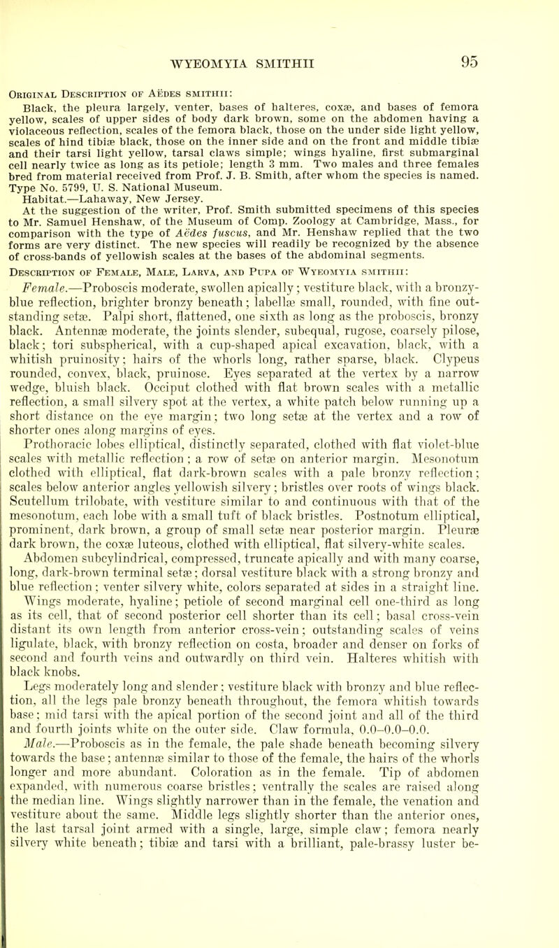 Original Description of Aedes smithii: Black, the pleura largely, venter, bases of halteres, coxae, and bases of femora yellow, scales of upper sides of body dark brown, some on the abdomen having a violaceous reflection, scales of the femora black, those on the under side light yellow, scales of hind tibice black, those on the inner side and on the front and middle tibiae and their tarsi light yellow, tarsal claws simple; wings hyaline, first submarginal cell nearly twice as long as its petiole; length 3 mm. Two males and three females bred from material received from Prof. J. B. Smith, after whom the species is named. Type No. 5799, U. S. National Museum. Habitat.—Lahaway, New Jersey. At the suggestion of the writer, Prof. Smith submitted specimens of this species to Mr. Samuel Henshaw, of the Museum of Comp. Zoology at Cambridge, Mass., for comparison with the type of Aedes fuscus, and Mr. Henshaw replied that the two forms are very distinct. The new species will readily be recognized by the absence of cross-bands of yellowish scales at the bases of the abdominal segments. Description of Female, Male, Larva, and Pupa of Wyeomyia smithii: Female.—Proboscis moderate, swollen apically; vestiture black, with a bronzy- blue retiection, brighter bronzy beneath; labellaj small, rounded, with fine out- standing setas. Palpi short, flattened, one sixth as long as the proboscis, bronzy black. Antenna moderate, the joints slender, subequal, rugose, coarsely pilose, black; tori subspherical, with a cup-shaped apical excavation, black, with a whitish pruinosity; hairs of the whorls long, rather sparse, black. Clypeus rounded, convex, black, pruinose. Eyes separated at the vertex by a narrow wedge, bluish black. Occiput clothed with flat brown scales with a metallic reflection, a small silvery spot at the vertex, a white patch below running up a short distance on the eye margin; two long setae at the vertex and a row of shorter ones along margins of eyes. Prothoracic lobes elliptical, distinctly separated, clothed with flat violet-blue 1 scales with metallic reflection ; a row of setae on anterior margin. Mesonotum I clothed with elliptical, flat dark-brown scales with a pale bronzy reflection; j scales below anterior angles yellowish silvery; bristles over roots of wings black. Scutellum trilobate, with vestiture similar to and continuous with that of the mesonotum, each lobe with a small tuft of black bristles. Postnotum elliptical, ; prominent, dark brown, a group of small setae near posterior margin. Pleurae dark brown, the coxae luteous, clothed with elliptical, flat silvery-white scales. Abdomen subcylindrical, compressed, truncate apically and with many coarse, long, dark-brown terminal setse; dorsal vestiture black with a strong bronzy and blue reflection ; venter silvery white, colors separated at sides in a straight line. Wings moderate, hyaline; petiole of second marginal cell one-third as long as its cell, that of second posterior cell shorter than its cell; basal cross-vein i distant its own length from anterior cross-vein; outstanding scales of veins ligulate, black, with bronzy reflection on costa, broader and denser on forks of second and fourth veins and outwardly on third vein. Halteres whitish with black knobs. Legs moderately long and slender; vestiture black with bronzy and blue reflec- tion, all the legs pale bronzy beneath throughout, the femora whitish towards base; mid tarsi with the apical portion of the second joint and all of the third and fourth joints white on the outer side. Claw fonnula, 0.0-0.0-0.0. Male.—Proboscis as in the female, the pale shade beneath becoming silvery towards the base; antennas similar to those of the female, the hairs of the whorls longer and more abundant. Coloration as in the female. Tip of abdomen expanded, with numerous coarse bristles; ventrally the scales are raised along the median line. Wings slightly narrower than in the female, the venation and vestiture about the same. Middle legs slightly shorter than the anterior ones, the last tarsal joint armed with a single, large, simple claw; femora nearly silvery white beneath; tibias and tarsi with a brilliant, pale-brassy luster be-
