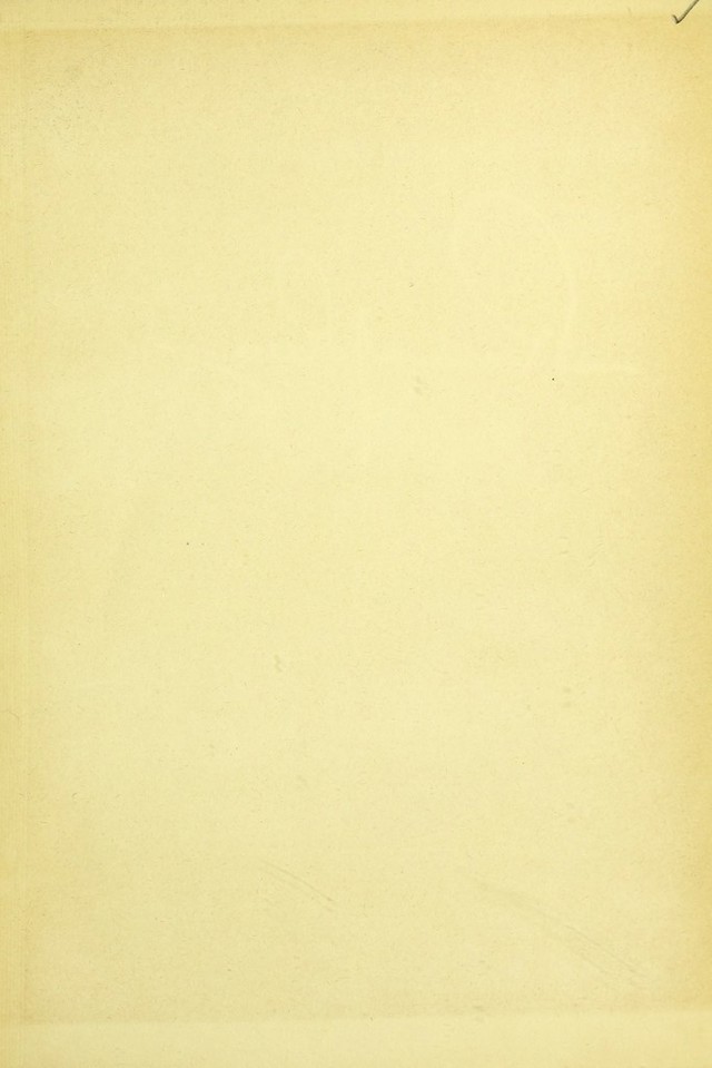 digitised image 3