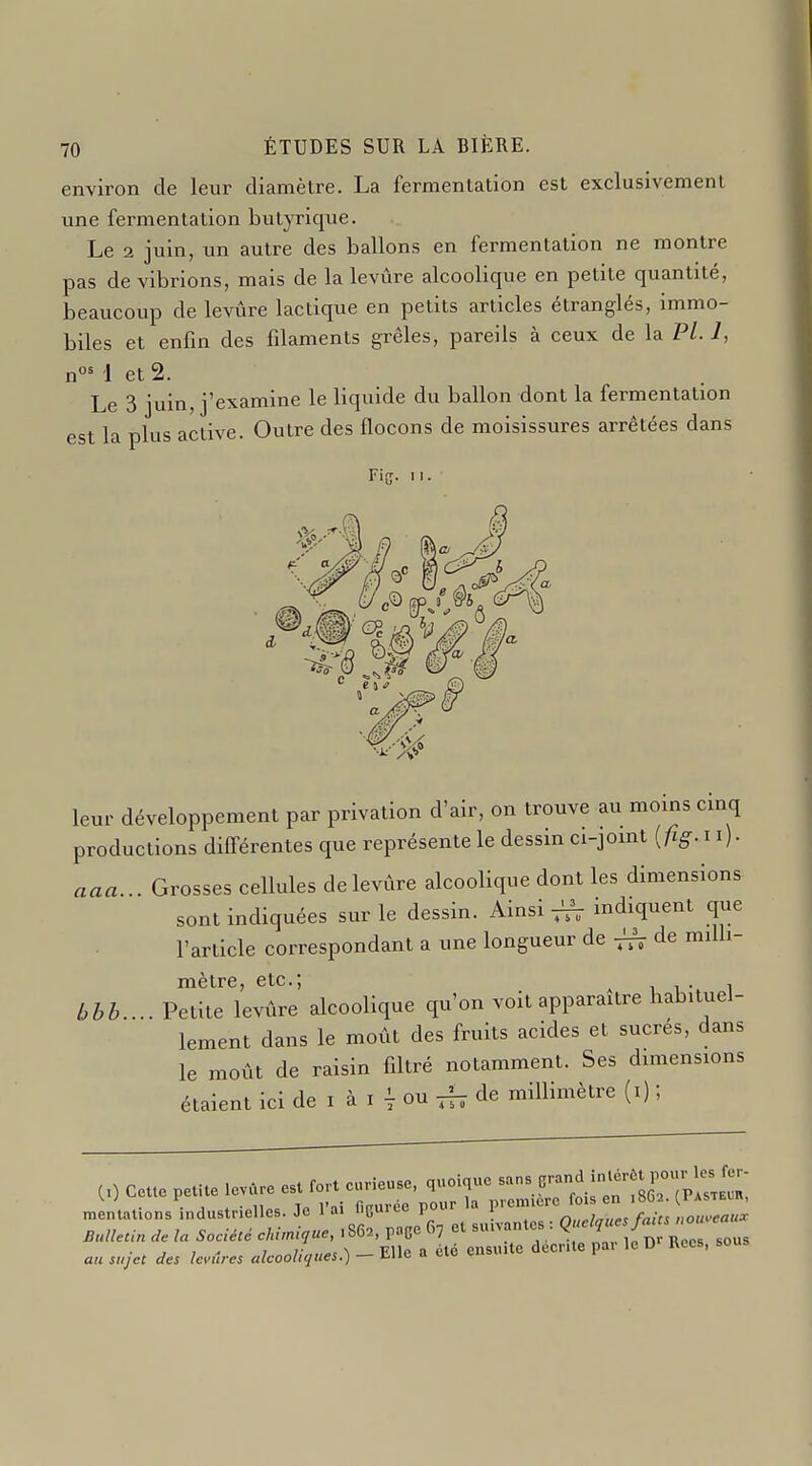 environ de leur diamètre. La fermentation est exclusivement une fermentation butyrique. Le 2 juin, un autre des ballons en fermentation ne montre pas de vibrions, mais de la levure alcooHque en petite quantité, beaucoup de levure lactique en petits articles étranglés, immo- biles et enfin des filaments grêles, pareils à ceux de la Pl. 1, n' 1 et 2. Le 3 juin, j'examine le liquide du ballon dont la fermentation est la plus active. Outre des flocons de moisissures arrêtées dans Fi, et.? c leur développement par privation d'air, on trouve au moins cinq productions différentes que représente le dessin ci-jomt {fig.n). aaa... Grosses cellules delevûre alcoolique dont les dimensions sont indiquées sur le dessin. Ainsi ^ indiquent que l'article correspondant a une longueur de de milli- mètre, etc.; ^ 1 1 -, 1 bbb.... Petite levûre alcoolique qu'on voit apparaître habituel- lement dans le moût des fruits acides et sucres, dans le moût de raisin filtré notamment. Ses dimensions étaient ici de i à i 1 ou ^ de millimètre (i) ; ,) Ceue pe.e e. c.^,^^^^ s:r ^:;sor;c^7 et suL„i.=q-^^.;;/^— ; 7 - ; .«7,V„;^5 ^ — Elle a été ensuite décrite par le D^- Kces, sous au sujet des levures alcooliques.) — t-i'^'