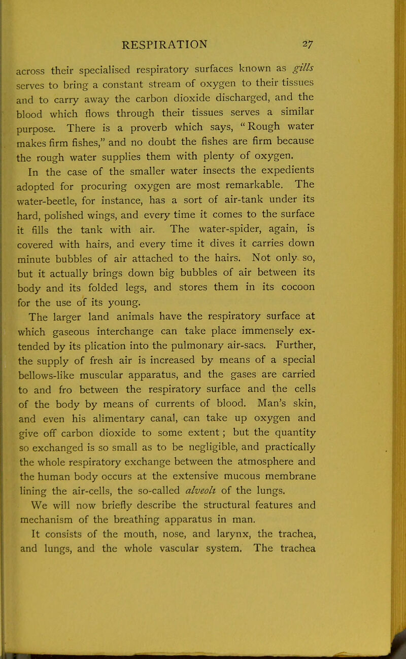 across their specialised respiratory surfaces known as gills serves to bring a constant stream of oxygen to their tissues and to carry away the carbon dioxide discharged, and the blood which flows through their tissues serves a similar purpose. There is a proverb which says, Rough water makes firm fishes, and no doubt the fishes are firm because the rough water supplies them with plenty of oxygen. In the case of the smaller water insects the expedients adopted for procuring oxygen are most remarkable. The water-beetle, for instance, has a sort of air-tank under its hard, polished wings, and every time it comes to the surface it fills the tank with air. The water-spider, again, is covered with hairs, and every time it dives it carries down minute bubbles of air attached to the hairs. Not only so, but it actually brings down big bubbles of air between its body and its folded legs, and stores them in its cocoon for the use of its young. The larger land animals have the respiratory surface at which gaseous interchange can take place immensely ex- tended by its plication into the pulmonary air-sacs. Further, the supply of fresh air is increased by means of a special bellows-like muscular apparatus, and the gases are carried to and fro between the respiratory surface and the cells of the body by means of currents of blood. Man's skin, and even his alimentary canal, can take up oxygen and give off carbon dioxide to some extent; but the quantity so exchanged is so small as to be negligible, and practically the whole respiratory exchange between the atmosphere and the human body occurs at the extensive mucous membrane lining the air-cells, the so-called alveoli of the lungs. We will now briefly describe the structural features and mechanism of the breathing apparatus in man. It consists of the mouth, nose, and larynx, the trachea, and lungs, and the whole vascular system. The trachea