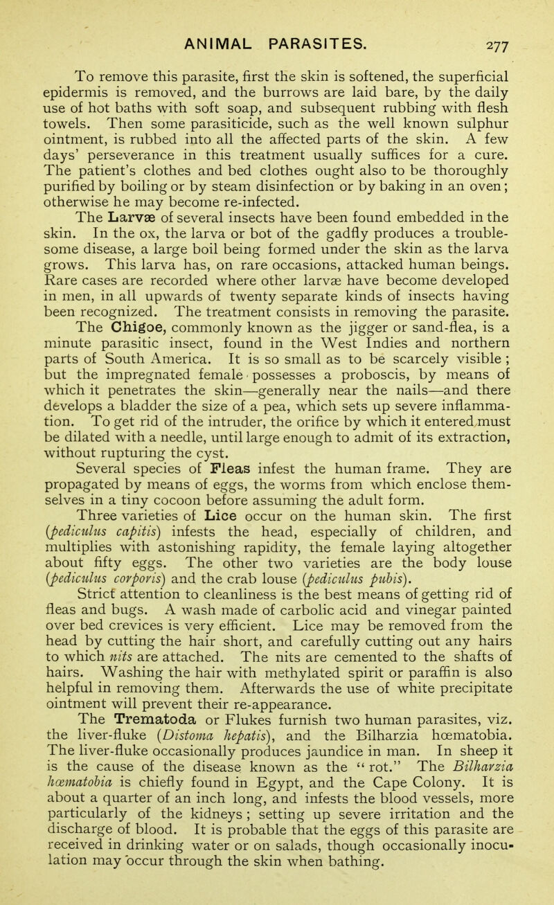 To remove this parasite, first the skin is softened, the superficial epidermis is removed, and the burrows are laid bare, by the daily use of hot baths with soft soap, and subsequent rubbing with flesh towels. Then some parasiticide, such as the well known sulphur ointment, is rubbed into all the affected parts of the skin. A few days' perseverance in this treatment usually suffices for a cure. The patient's clothes and bed clothes ought also to be thoroughly purified by boiling or by steam disinfection or by baking in an oven; otherwise he may become re-infected. The Larvae of several insects have been found embedded in the skin. In the ox, the larva or bot of the gadfly produces a trouble- some disease, a large boil being formed under the skin as the larva grows. This larva has, on rare occasions, attacked human beings. Rare cases are recorded where other larvae have become developed in men, in all upwards of twenty separate kinds of insects having been recognized. The treatment consists in removing the parasite. The Chigoe, commonly known as the jigger or sand-flea, is a minute parasitic insect, found in the West Indies and northern parts of South America. It is so small as to be scarcely visible ; but the impregnated female ■ possesses a proboscis, by means of which it penetrates the skin—generally near the nails—and there develops a bladder the size of a pea, which sets up severe inflamma- tion. To get rid of the intruder, the orifice by which it entered must be dilated with a needle, until large enough to admit of its extraction, without rupturing the cyst. Several species of Fleas infest the human frame. They are propagated by means of eggs, the worms from which enclose them- selves in a tiny cocoon before assuming the adult form. Three varieties of Lice occur on the human skin. The first [pediculus capitis) infests the head, especially of children, and multiplies with astonishing rapidity, the female laying altogether about fifty eggs. The other two varieties are the body louse (pediculus corporis) and the crab louse {pediculus pubis). Strict attention to cleanliness is the best means of getting rid of fleas and bugs. A wash made of carbolic acid and vinegar painted over bed crevices is very efficient. Lice may be removed from the head by cutting the hair short, and carefully cutting out any hairs to which nits are attached. The nits are cemented to the shafts of hairs. Washing the hair with methylated spirit or paraffin is also helpful in removing them. Afterwards the use of white precipitate ointment will prevent their re-appearance. The Trematoda or Flukes furnish two human parasites, viz. the liver-fluke {Distoma hepatis), and the Bilharzia hoematobia. The liver-fluke occasionally produces jaundice in man. In sheep it is the cause of the disease known as the  rot. The Bilharzia hcematohia is chiefly found in Egypt, and the Cape Colony. It is about a quarter of an inch long, and infests the blood vessels, more particularly of the kidneys ; setting up severe irritation and the discharge of blood. It is probable that the eggs of this parasite are received in drinking water or on salads, though occasionally inocu- lation may occur through the skin when bathing.