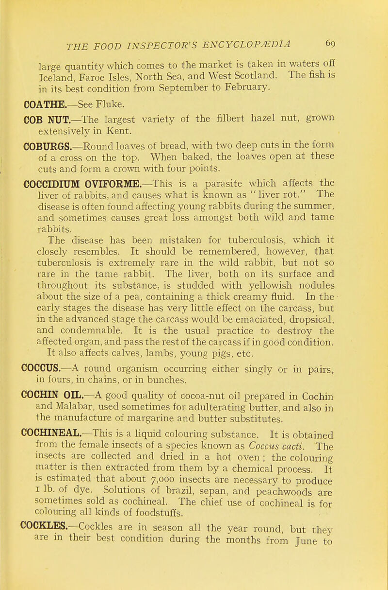 large quantity which comes to the market is taken in waters off Iceland, Faroe Isles, North Sea, and West Scotland. The fish is in its best condition from September to February. COATHE.—See Fluke. COB NUT—The largest variety of the filbert hazel nut, grown extensively in Kent. COBURGS.—Round loaves of bread, with two deep cuts in the form of a cross on the top. When baked, the loaves open at these cuts and form a crown with four points. COCCIDIUM OVIFORME.—This is a parasite which affects the liver of rabbits, and causes what is known as  liver rot. The disease is often found affecting young rabbits during the summer, and sometimes causes great loss amongst both wild and tame rabbits. The disease has been mistaken for tuberculosis, which it closely resembles. It should be remembered, however, that tuberculosis is extremely rare in the wild rabbit, but not so rare in the tame rabbit. The liver, both on its surface and throughout its substance, is studded with yellowish nodules about the size of a pea, containing a thick creamy fluid. In the early stages the disease has very little effect on the carcass, but in the advanced stage the carcass would be emaciated, dropsical, and condemnable. It is the usual practice to destroy the affected organ, and pass the rest of the carcass if in good condition. It also affects calves, lambs, young pigs, etc. COCCUS.—A round organism occurring either singly or in pairs, in fours, in chains, or in bunches. COCHIN OIL.—A good quality of cocoa-nut oil prepared in Cochin and Malabar, used sometimes for adulterating butter, and also in the manufacture of margarine and butter substitutes. COCHINEAL.—This is a liquid colouring substance. It is obtained from the female insects of a species known as Coccus cacti. The insects are collected and dried in a hot oven ; the colouring matter is then extracted from them by a chemical process. It is estimated that about 7,000 insects are necessary to produce I lb. of dye. Solutions of brazil, sepan, and peachwoods are sometimes sold as cochineal. The chief use of cochineal is for colouring all kinds of foodstuffs. COCKLES.—Cockles are in season all the year round, but they are in their best condition during the months from June to