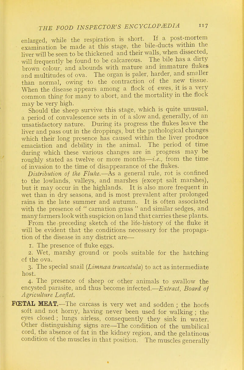 enlarged, while the respiration is short. If a post-mortem examination be made at this stage, the bile-ducts withm the liver will be seen to be thickened and their walls, when dissected, will frequently be found to be calcareous. The bile has a dirty brown colour, and abounds with mature and immature flukes and multitudes of ova. The organ is paler, harder, and smaller than normal, owing to the contraction of the new tissue. When the disease appears among a flock of ewes, it is a very common thing for many to abort, and the mortality in the flock may be very high. Should the sheep survive this stage, which is quite unusual, a period of convalescence sets in of a slow and, generally, of an unsatisfactory nature. During its progress the flukes leave the liver and pass out in the droppings, but the pathological changes which their long presence has caused within the liver produce emaciation and debility in the animal. The period of time during which these various changes are in progress may be roughly stated as twelve or more months—i.e., from the time of invasion to the time of disappearance of the flukes. Distribution of the Fluke.—^As a general rule, rot is confined to the lowlands, valleys, and marshes (except salt marshes), but it may occur in the highlands. It is also more frequent in wet than in dry seasons, and is most prevalent after prolonged rains in the late summer and autumn. It is often associated with the presence of  carnation grass  and similar sedges, and many farmers look with suspicion on land that carries these plants. From the .preceding sketch of the life-history of the fluke it will be evident that the conditions necessary for the propaga- tion of the disease in any district are— 1. The presence of fluke eggs. 2. Wet, marshy ground or pools suitable for the hatching of the ova. 3. The special snail [Limncea truncaiula) to act as intermediate host. 4. The presence of sheep or other animals to swallow the encysted parasite, and thus become infected.—Extract, Board of Agriculture Leaflet. F(ETAL MEAT.—The carcass is very wet and sodden ; the hoofs soft and not horny, having never been used for walking ; the eyes closed ; lungs airless, consequently they sink in water. Other distinguishing signs are—The condition of the umbilical cord, the absence of fat in the kidney region, and the gelatinous condition of the muscles in that position. The muscles generally