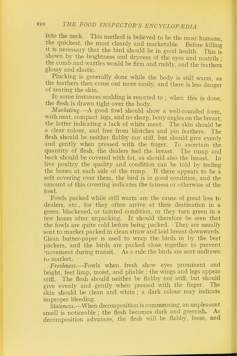 into the neck. This method is beheved to be the most humane, the quickest, the most cleanly and marketable. Before kilhng It is necessary that the bird should be in good health. This is shown by the brightness and dryness of the eyes and nostrils ; the comb and wattles would be firm and ruddy, and the feathers glossy and elastic. Plucking is generally done while the body is still warm, as the feathers then come out more easily, and there is less danger of tearing the skin. In some instances scalding is resorted to ; when this is done, the flesh is drawn tight over the body. Marketing.—good fowl should show a well-rounded form, with neat, compact legs, and no sharp, bony angles on the breast, the latter indicating a lack of white meat. The skin should be a clear colour, and free from blotches and pin feathers. The flesh should be neither flabby nor stiff, but should give evenly and gently when pressed with the finger. To ascertain the quantity of flesh, the dealers feel the breast. The rump and back should be covered with fat, as should also the breast. In live poultry the quality and condition can be told by feeling the bones at each side of the rump. If there appears to be a soft covering over them, the bird is in good condition, and the amount of this covering indicates the fatness or otherwise of the fowl. Fowls packed while still warm are the cause of great loss to dealers, etc., for they often arrive at their destination in a green, blackened, or tainted condition, or they turn green in a few hours after unpacking. It should therefore be seen that the fowls are quite cold before being packed. They are usually sent to market packed in clean straw and laid breast downwards. Clean butter-paper is used to wrap the birds in by the best packers, and the birds are packed close together to prevent movement during transit. As a rule the birds are sent undrawn to market. Freshness.—^Fowls when fresh show eyes prominent and bright, feet limp, moist, and pliable ; the wings and legs appear stiff. The flesh should neither be flabby nor stiff, but should give evenly and gently when pressed with the finger. The skin should be clean and white ; a dark colour may indicate improper bleeding. Staleness.—When decomposition is commencing, an unpleasant smell is noticeable ; the flesh becomes dark and greenish. As decomposition advances, the flesh will be flabby, loose, and