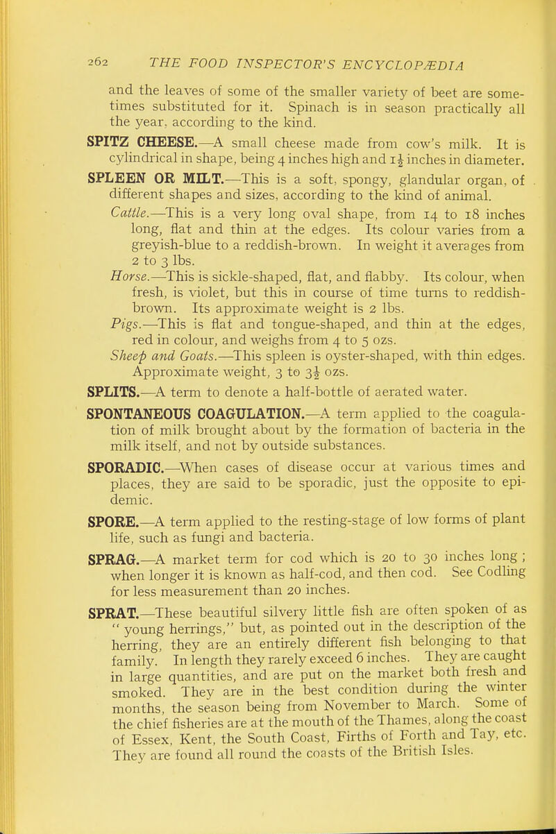 and the leaves of some of the smaller variety of beet are some- times substituted for it. Spinach is in season practically all the year, according to the kind. SPITZ CHEESE.—A small cheese made from cow's milk. It is cylindrical in shape, being 4 inches high and i| inches in diameter. SPLEEN OR MILT.—This is a soft, spongy, glandular organ, of different shapes and sizes, according to the kind of animal. Cattle.—^This is a very long oval shape, from 14 to 18 inches long, flat and thin at the edges. Its colour varies from a greyish-blue to a reddish-brown. In weight it averages from 2 to 3 lbs. Horse.—-This is sickle-shaped, fiat, and flabby. Its colour, when fresh, is violet, but this in course of time turns to reddish- brown. Its approximate weight is 2 lbs. Pigs.-—-This is fiat and tongue-shaped, and thin at the edges, red in colour, and weighs from 4 to 5 ozs. Sheep and Goats.—^This spleen is oyster-shaped, with thin edges. Approximate weight, 3 to 3f ozs. SPLITS.—^A term to denote a half-bottle of aerated water. SPONTANEOUS COAGULATION.—A term applied to the coagula- tion of milk brought about by the formation of bacteria in the milk itself, and not by outside substances. SPORADIC.—When cases of disease occur at various times and places, they are said to be sporadic, just the opposite to epi- demic. SPORE.—A term applied to the resting-stage of low forms of plant life, such as fungi and bacteria. SPRAG.—A market term for cod which is 20 to 30 inches long ; when longer it is known as half-cod, and then cod. See Codling for less measurement than 20 inches. SPRAT.—These beautiful silvery little fish are often spoken of as  young herrings, but, as pointed out in the description of the herring, they are an entirely different fish belonging to that family.' In length they rarely exceed 6 inches. They are caught in large quantities, and are put on the market both fresh and smoked. They are in the best condition during the wmter months, the season being from November to March. Some of the chief fisheries are at the mouth of the Thames, along the coast of Essex, Kent, the South Coast, Firths of Forth and Tay, etc. They are found all round the coasts of the British Isles.