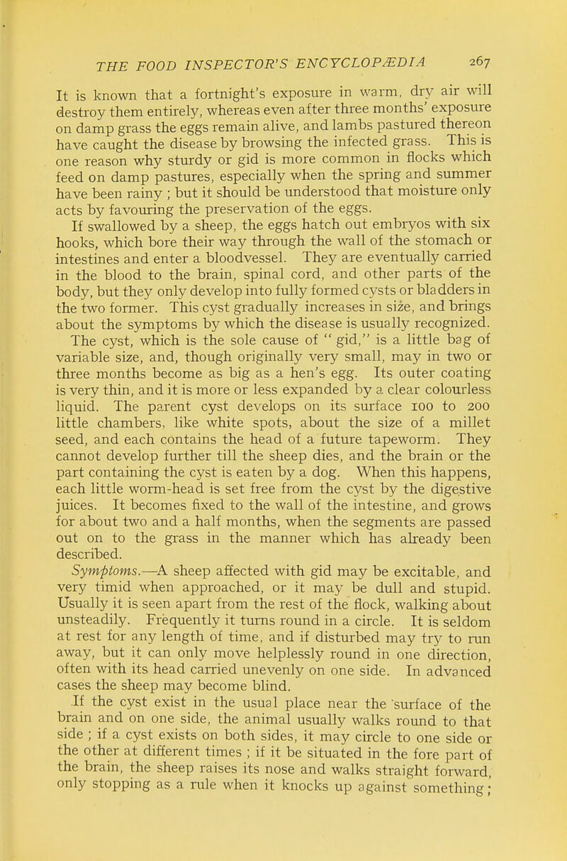 It is known that a fortnight's exposure in warm, dry air will destroy them entirely, whereas even after three months' exposure on damp grass the eggs remain alive, and lambs pastured thereon have caught the disease by browsing the infected grass. This is one reason why sturdy or gid is more common in flocks which feed on damp pastures, especially when the spring and summer have been rainy ; but it should be understood that moisture only acts by favouring the preservation of the eggs. If swallowed by a sheep, the eggs hatch out embryos with six hooks, which bore their way through the wall of the stomach or intestines and enter a bloodvessel. They are eventually carried in the blood to the brain, spinal cord, and other parts of the body, but they only develop into fully formed cysts or bladders in the two former. This cyst gradually increases in size, and brings about the symptoms by which the disease is usually recognized. The cyst, which is the sole cause of  gid, is a little bag of variable size, and, though originally very small, may in two or three months become as big as a hen's egg. Its outer coating is very thin, and it is more or less expanded by a clear colourless liquid. The parent cyst develops on its surface 100 to 200 little chambers, like white spots, about the size of a millet seed, and each contains the head of a future tapeworm. They cannot develop further till the sheep dies, and the brain or the part containing the cyst is eaten by a dog. When this happens, each little worm-head is set free from the cyst by the digestive juices. It becomes fixed to the wall of the intestine, and grows for about two and a half months, when the segments are passed out on to the grass in the manner which has akeady been described. Symptoms.—A sheep affected with gid may be excitable, and very timid when approached, or it may be dull and stupid. Usually it is seen apart from the rest of the flock, walking about unsteadily. Frequently it turns round in a circle. It is seldom at rest for any length of time, and if disturbed may try to run away, but it can only move helplessly round in one direction, often with its head carried unevenly on one side. In advanced cases the sheep may become blind. If the cyst exist in the usual place near the surface of the brain and on one side, the animal usually walks round to that side ; if a cyst exists on both sides, it may circle to one side or the other at different times ; if it be situated in the fore part of the brain, the sheep raises its nose and walks straight forward, only stopping as a rule when it knocks up against something;