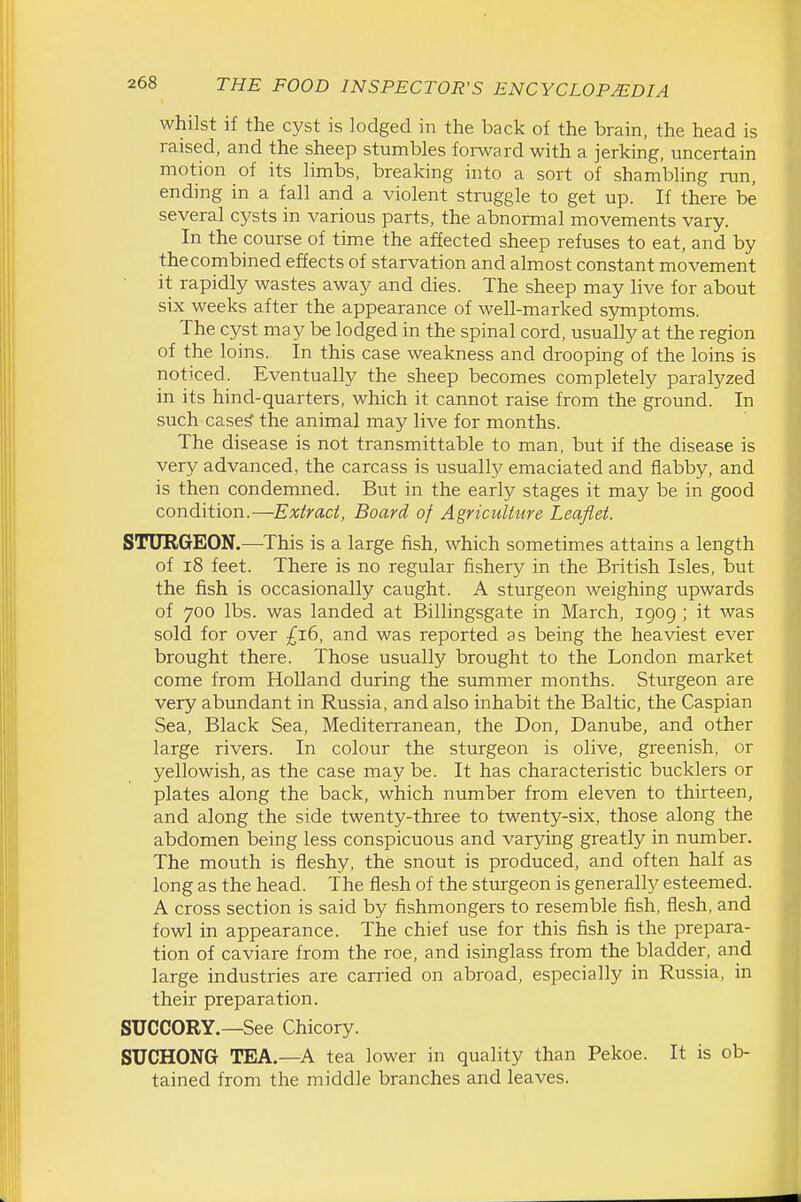 whilst if the cyst is lodged in the back of the brain, the head is raised, and the sheep stumbles forward with a jerking, uncertain motion of its limbs, breaking into a sort of shambling run, ending in a fall and a violent struggle to get up. If there be several cysts in various parts, the abnormal movements vary. In the course of time the affected sheep refuses to eat, and by the combined effects of starvation and almost constant movement it rapidly wastes away and dies. The sheep may live for about six weeks after the appearance of well-marked symptoms. The cyst may be lodged in the spinal cord, usually at the region of the loins. In this case weakness and drooping of the loins is noticed. Eventually the sheep becomes completely paralyzed in its hind-quarters, which it cannot raise from the ground. In such case^ the animal may live for months. The disease is not transmittable to man, but if the disease is very advanced, the carcass is usually emaciated and flabby, and is then condemned. But in the early stages it may be in good condition.—Extract, Board of Agriculture Leaflet. STURGEON.—This is a large fish, which sometimes attains a length of i8 feet. There is no regular fishery in the British Isles, but the fish is occasionally caught. A sturgeon weighing upwards of 700 lbs. was landed at Billingsgate in March, 1909 ; it was sold for over {x6, and was reported as being the heaviest ever brought there. Those usually brought to the London market come from Holland during the summer months. Sturgeon are very abundant in Russia, and also inhabit the Baltic, the Caspian Sea, Black Sea, Mediten-anean, the Don, Danube, and other large rivers. In colour the sturgeon is olive, greenish, or yellowish, as the case may be. It has characteristic bucklers or plates along the back, which number from eleven to thirteen, and along the side twenty-three to twenty-six, those along the abdomen being less conspicuous and varying greatly in number. The mouth is fleshy, the snout is produced, and often half as long as the head. The flesh of the sturgeon is generally esteemed. A cross section is said by fishmongers to resemble fish, flesh, and fowl in appearance. The chief use for this fish is the prepara- tion of caviare from the roe, and isinglass from the bladder, and large industries are carried on abroad, especially in Russia, in their preparation. SUCCORY.—See Chicory. SUCHONG TEA.—A tea lower in quality than Pekoe. It is ob- tained from the middle branches and leaves.
