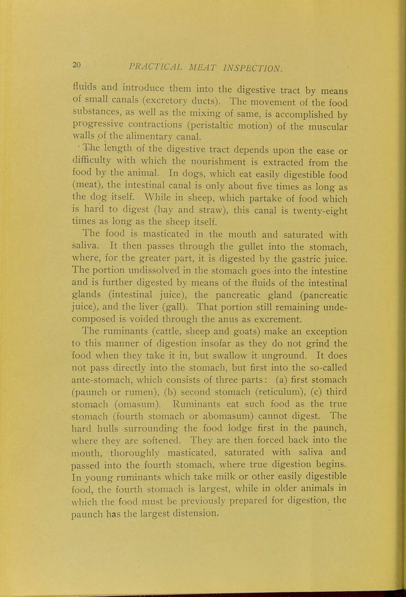 fluids and introduce them into the digestive tract by means of small canals (excretory ducts). The movement of the food substances, as well as the mixing of same, is accomplished by progressive contractions (peristaltic motion) of the muscular walls of the alimentary canal. • The length of the digestive tract depends upon the ease or difficulty with which the nourishment is extracted from the food by the animal. In dogs, which eat easily digestible food (meat), the intestinal canal is only about five times as long as the dog itself. While in sheep, which partake of food which is hard to digest (hay and straw), this canal is twenty-eight times as long as the sheep itself. The food is masticated in the mouth and saturated with saliva. It then passes through the gullet into the stomach, where, for the greater part, it is digested by the gastric juice. The portion undissolved in the stomach goes into the intestine and is further digested by means of the fluids of the intestinal glands (intestinal juice), the pancreatic gland (pancreatic juice), and the liver (gall). That portion still remaining unde- composed is voided through the anus as excrement. The ruminants (cattle, sheep and goats) make an exception to this manner of digestion insofar as they do not grind the food Avhen they take it in, but swallow it unground. It does not pass directly into the stomach, but first into the so-called ante-stomach, which consists of three parts: (a) first stomach (paunch or rumen), (b) second stomach (reticulum), (c) third stomach (omasum). Ruminants eat such food as the true stomach (fourth stomach or abomasum) cannot digest. The hard hulls surrounding the food lodge first in the paunch, where they are softened. They are then forced back into the mouth, thoroughly masticated, saturated with saliva and passed into the fourth stomach, Avhere true digestion begins. In young ruminants which take milk or other easily digestible food, the fourth stomach is largest, while in older animals in which the food must be previously prepared for digestion, the paunch has the largest distension.