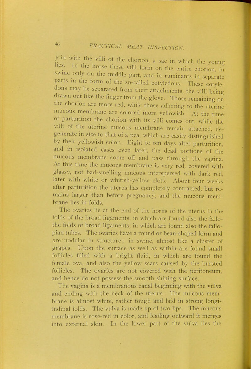 lOHi mth the villi of the chorion, a sac in which the voun^ lies. In the horse these villi form on the entire chorion in swine only on the middle part, and in ruminants in separate parts m the form of the so-called cotyledons. These cotyle- dons may be separated from their attachments, the villi being drawn out like the finger from the glove. Those remaining on the chorion are more red, while those adhering to the uterine mucous membrane are colored more yellowish. At the time of parturition the chorion with its villi comes out, while the villi of the uterine mucous membrane remain attached, de- generate in size to that of a pea, which are easily distinguished by their yellowish color. Eight to ten days after parturition, and in isolated cases even later, the dead portions of the mucous membrane come of? and pass through the vagina. At this time the mucous membrane is very red, covered with glassy, not bad-smelling mucous interspersed with dark red, later with white or whitish-yellow clots. About four weeks after parturition the uterus has completely contracted, but re- mains larger than before pregnancy, and the mucous mem- brane lies in folds. The ovaries lie at the end of the horns of the uterus in the folds of the broad ligaments, in which are found also the fallo- the folds of broad ligaments, in which are found also the fallo- pian tubes. The ovaries have a round or bean-shaped form and are nodular in structure; in swine, almost like a cluster of grapes. Upon the surface as well as within are found small follicles filled with a bright fluid, in which are found the female ova, and also the yellow scars caused by the bursted follicles. The ovaries are not covered with the peritoneum, and hence do not possess the smooth shining surface. The vagina is a membranous canal beginning with the vulva and ending with the neck of the titerus. The mucous mem- brane is almost white, rather tough and laid in .strong longi- tudinal folds. The vulva is made up of two lips. The mucous membrane is rose-red in color, and leading outward it merges into external skin. In the lower part of the vulva lies the