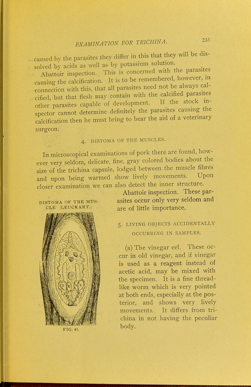 caused by the parasites they differ in this that they will be dis- solved by acids as well as by potassium solution Abattoir inspection., This is concerned with the parasites causing the calcification. It is to be remembered, however, in connection with this, that all parasites need not be always cal- cified, but that flesh may contain with the calcified parasites other parasites capable of development. If the stock in- spector cannot determine definitely the parasites causing the calcification then he must bring to bear the aid of a veterinary surgeon; 4. mSTOMA OF THE MUSCLES. In microscopical examinations of pork there are found, how- ever very seldom, delicate, fine, gray colored bodies about the size of the trichina capsule, lodged between the muscle fibres and upon being warmed show lively movements. Upon closer examination we can also detect the inner structure. Abattoir inspection. These par- asites occur only very seldom and are of little importance. 5. LIVING OBJECTS ACCIDENTALLY OCCURRING IN SAMPLES. (a) The vinegar eel. These oc- cur in old vinegar, and if vinegar is used as a reagent instead of acetic acid, may be mixed with the specimen. It is a fine thread- like worm which is very pointed at both ends, especially at the pos- terior, and shows very lively movements. It differs from tri- china in not having the peculiar body. DISTOMA OF THE MUS- CLE (LEUCKART.)