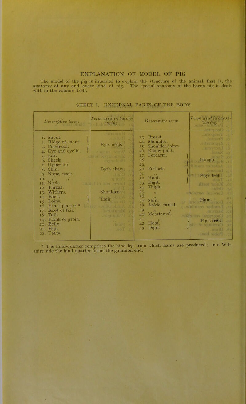 EXPLANATION OF MODEL OF PIG The model of the pig is intended to explain the structure of the animal, that is, the anatomy of any and every kind of pig. The special anatomy of the bacon pig is dealt with in the volume itself. SHEET I. EXTERNAL PARTS OF THE BODY Descriptive term. Snout. Ridge of snout. Forehead. Eye and eyelid. Ear. Cheek. Upper lip. Chin. 9. Nape, neck. 10. „ Neck. Throat. Withers. Back. Loins. 16. Hind-quarter.* 17. Root of tail. Tail. Flank or groin. Belly. Hip. 22. Teats. 3- 4- 5- 6. 7- 8. 11. 12. 13- 14- IS- 18 19. 20. 21. Term used in bacon curing. Eye-piece. Bath chap. Shoulder. Loin. Descriptive term. 23- 24. 25- 26. 27. 28. 29. 30. 3i- 32- 33- 34- 35- 36. 37- 38- 39- 40. 41. 42. 43- Breast. Shoulder. Shoulder-joint. Elbow-joint. Forearm. Fetlock. Hoof. Digit. Thigh. Shin. Ankle, tarsal. 11 > * Metatarsal. Hoof. Digit. Term used in bdeon- curing. Hough. Pig's feet. Ham. Pig's feet. * The hind-quarter comprises the hind leg from which hams are produced ; in a Wilt- shire side the hind-quarter forms the gammon end.