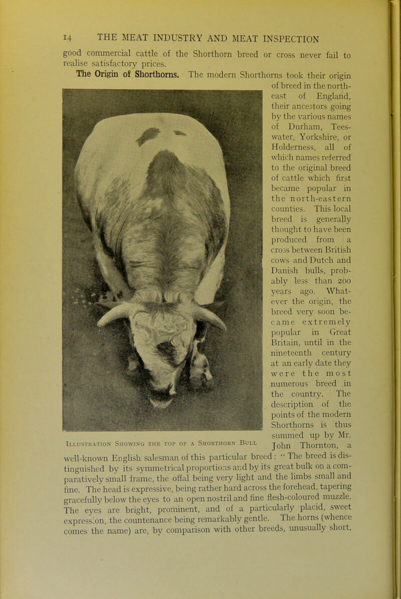 good commercial cattle of the Shorthorn breed or cross never fail to realise satisfactory prices. The Origin of Shorthorns. The modern Shorthorns took their origin of breed in the north- east of England, their ancestors going by the various names of Durham, Tees- water, Yorkshire, or Holderness, all of which names referred to the original breed of cattle which first became popular in the north-eastern counties. This local breed is generally thought to have been produced from a cross between British cows and Dutch and Danish bulls, prob- ably less than 200 years ago. What- ever the origin, the breed very soon be- came extremely popular in Great Britain, until in the nineteenth century at an early date they were the most numerous breed in the country. The description of the points of the modern Shorthorns is thus summed up by Mr. John Thornton, a well-known English salesman of this particular breed:  The breed is dis- tinguished by its symmetrical proportions and by its great bulk on a com- paratively small frame, the offal being very light and the limbs small and fine. The head is expressive, being rather hard across the forehead, tapering gracefully below the eyes to an open nostril and fine flesh-coloured muzzle. The eyes are bright, prominent, and of a particularly placid, sweet expression, the countenance being remarkably gentle. The horns (whence comes the name) are, by comparison with other breeds, unusually short. Illustration Showing the top of a Shorthorn Bull