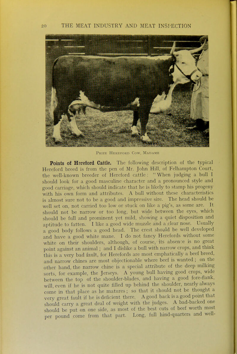 - T ^ \t-m, Prize Hereford Cow, Madame Points of Hereford Cattle. The following description of the typical Hereford breed is from the pen of Mr. John Hill, of Felhampton Court, the well-known breeder of Hereford cattle :  When judging a bull I should look for a good masculine character and a pronounced style and good carriage, which should indicate that he is likely to stamp his progeny with his own form and attributes. A bull without these characteristics is almost sure not to be a good and impressive sire. The head should be well set on, not carried too low or stuck on like a pig's, as some are. It should not be narrow or too long, but wide between the eyes, which should be full and prominent yet mild, showing a quiet disposition and aptitude to fatten. I like a good wide muzzle and a clear nose. Usually a good body follows a good head. The crest should be well developed and have a good white mane. I do not fancy Herefords without some white on their shoulders, although, of course, its absence is no great point against an animal; and I dislike a bull with narrow crops, and think this is a very bad fault, for Herefords are most emphatically a beef breed, and narrow chines are most objectionable where beef is wanted ; on the other hand, the narrow chine is a special attribute of the deep milking sorts, for example, the Jerseys. A young bull having good crops, wide between the top of the shoulder-blades, and having a good fore-flank, will, even if he is not quite filled up behind the shoulder, nearly always come in that place as he matures; so that it should not be thought a very great fault if he is deficient there. A good back is a good point that should carry a great deal of weight with the judges. A bad-backed one should be put on one side, as most of the best cuts of beef worth most per pound come from that part. Long, full hind-quarters and well-