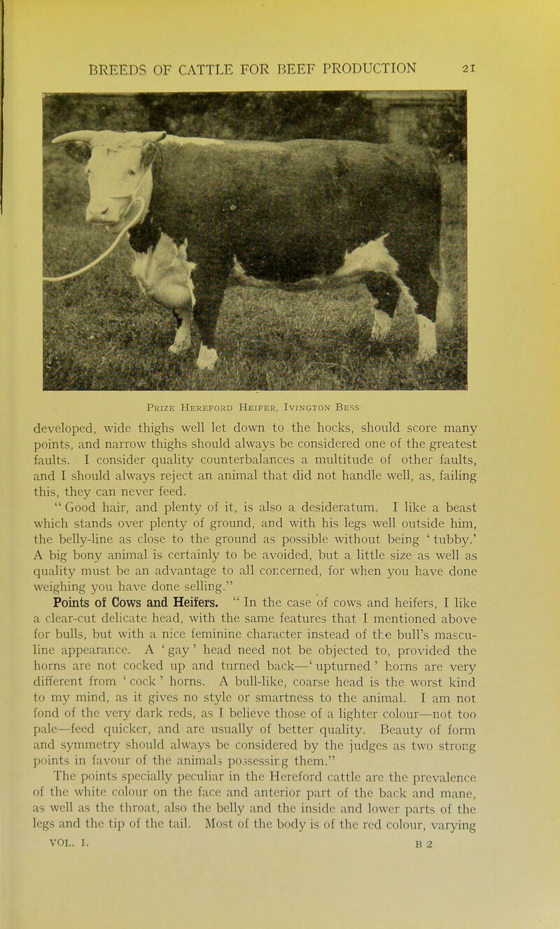 Prize Hereford Heifer, Ivington Bess developed, wide thighs well let down to the hocks, should score many points, and narrow thighs should always be considered one of the greatest faults. I consider quality counterbalances a multitude of other faults, and I should always reject an animal that did not handle well, as, failing this, they can never feed.  Good hair, and plenty of it, is also a desideratum. I like a beast which stands over plenty of ground, and with his legs well outside him, the belly-line as close to the ground as possible without being ' tubby.' A big bony animal is certainly to be avoided, but a little size as well a.s quality must be an advantage to all concerned, for when you have done weighing you have done selling. Points of Cows and Heifers.  In the case of cows and heifers, I like a clear-cut delicate head, with the same features that I mentioned above for bulls, but with a nice feminine character instead of the bull's mascu- line appearance. A ' gay' head need not be objected to, provided the horns are not cocked up and turned back—' upturned ' horns are very different from ' cock ' horns. A bull-like, coarse head is the worst kind to my mind, as it gives no style or smartness to the animal. I am not fond of the very dark reds, as I believe those of a lighter colour—not too pale—feed quicker, and are usually of better quality. Beauty of form and symmetry should always be considered by the judges as two strong points in favour of the animals possessing them. The points specially peculiar in the Hereford cattle are the prevalence of the white colour on the face and anterior part of the back and mane, as well as the throat, also the belly and the inside and lower parts of the legs and the tip of the tail. Most of the body is of the red colour, varying VOL. 1, B 2