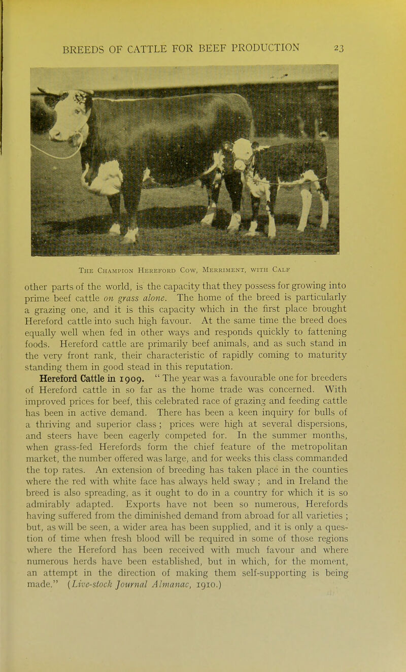 The Champion Hereford Cow, Merriment, with Calf other parts of the world, is the capacity that they possess for growing into prime beef cattle on grass alone. The home of the breed is particularly a grazing one, and it is this capacity which in the first place brought Hereford cattle into such high favour. At the same time the breed does equally well when fed in other ways and responds quickly to fattening foods. Hereford cattle are primarily beef animals, and as such stand in the very front rank, their characteristic of rapidly coming to maturity standing them in good stead in this reputation. Hereford Cattle in 1909.  The year was a favourable one for breeders of Hereford cattle in so far as the home trade was concerned. With improved prices for beef, this celebrated race of grazing and feeding cattle has been in active demand. There has been a keen inquiry for bulls of a thriving and superior class ; prices were high at several dispersions, and steers have been eagerly competed for. In the summer months, when grass-fed Herefords form the chief feature of the metropolitan market, the number offered was large, and for weeks this class commanded the top rates. An extension of breeding has taken place in the counties where the red with white face has always held sway ; and in Ireland the breed is also spreading, as it ought to do in a country for which it is so admirably adapted. Exports have not been so numerous, Herefords having suffered from the diminished demand from abroad for all varieties ; but, as will be seen, a wider area has been supplied, and it is only a ques- tion of time when fresh blood will be required in some of those regions where the Hereford has been received with much favour and where numerous herds have been established, but in which, for the moment, an attempt in the direction of making them self-supporting is being made. (Live-stock Journal Almanac, 1910.)