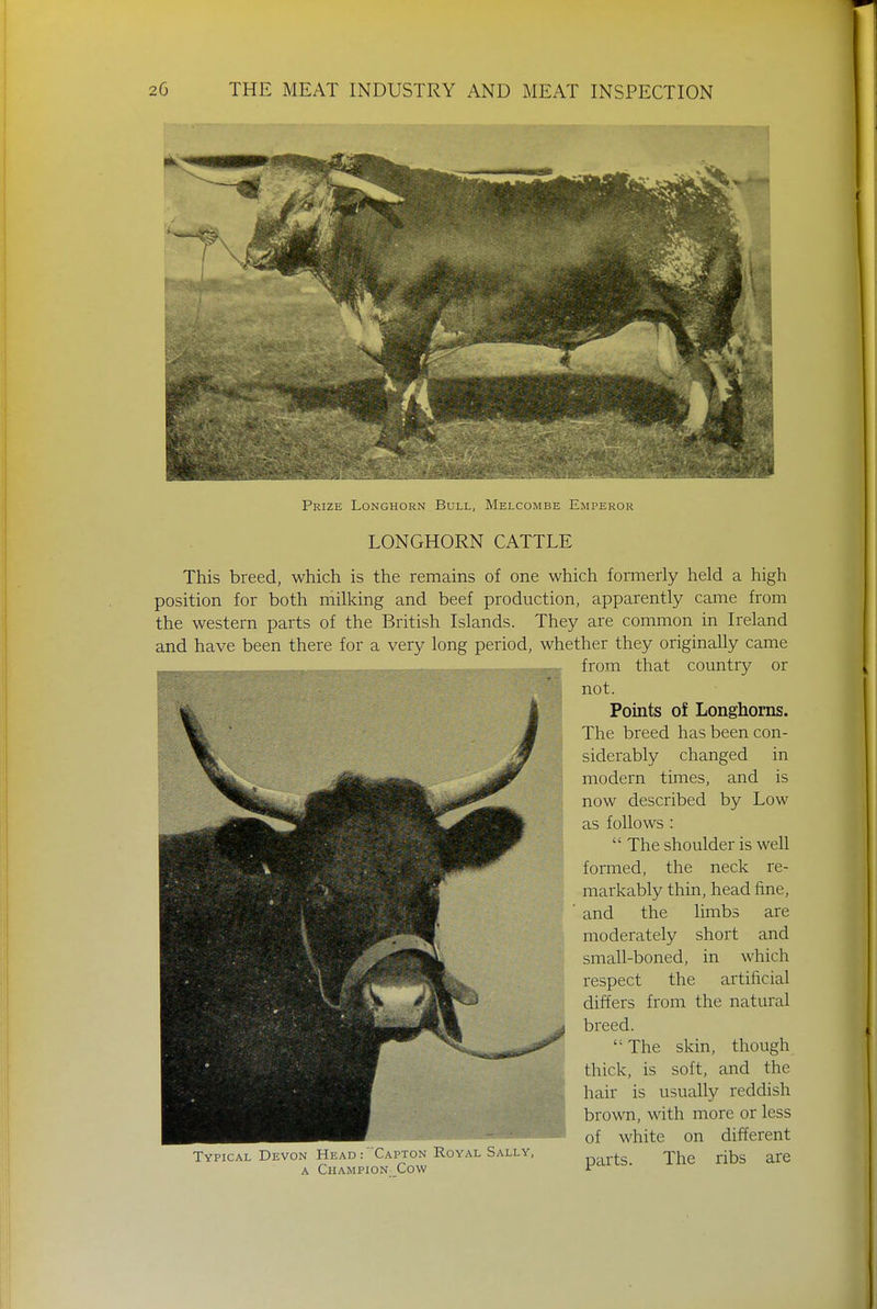 Prize Longhorn Bull, Melcombe Emperor LONGHORN CATTLE This breed, which is the remains of one which formerly held a high position for both milking and beef production, apparently came from the western parts of the British Islands. They are common in Ireland and have been there for a very long period, whether they originally came ^m^m| from that country or not. Points of Longhorns. The breed has been con- siderably changed in modern times, and is now described by Low as follows :  The shoulder is well formed, the neck re- markably thin, head fine, and the limbs are moderately short and small-boned, in which respect the artificial differs from the natural breed.  The skin, though thick, is soft, and the hair is usually reddish brown, with more or less of white on different Typical Devon Head : Capton Royal Sally, r>axts The ribs are a Champion Cow r