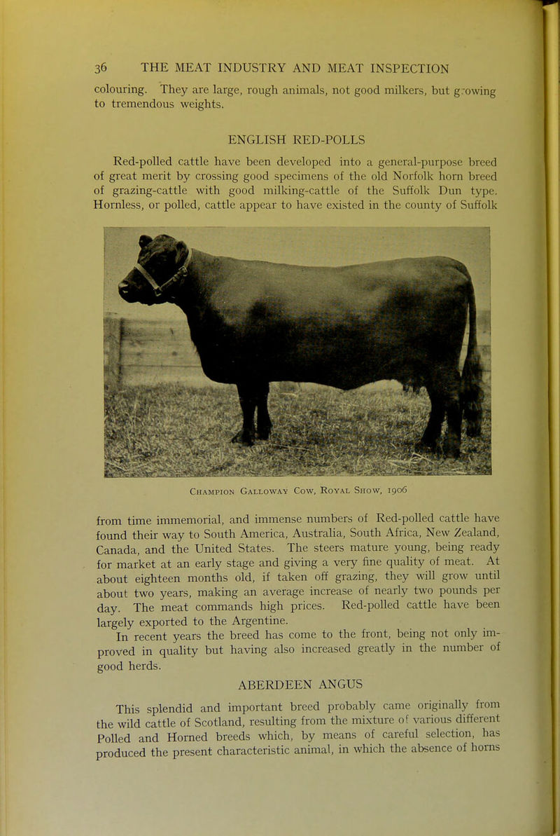colouring. They are large, rough animals, not good milkers, but growing to tremendous weights. ENGLISH RED-POLLS Red-polled cattle have been developed into a general-purpose breed of great merit by crossing good specimens of the old Norfolk horn breed of grazing-cattle with good milking-cattle of the Suffolk Dun type. Hornless, or polled, cattle appear to have existed in the county of Suffolk Champion Galloway Cow, Royal Show, 1906 from time immemorial, and immense numbers of Red-polled cattle have found their way to South America, Australia, South Africa, New Zealand, Canada, and the United States. The steers mature young, being ready for market at an early stage and giving a very fine quality of meat. At about eighteen months old, if taken off grazing, they will grow until about two years, making an average increase of nearly two pounds per day. The meat commands high prices. Red-polled cattle have been largely exported to the Argentine. In recent years the breed has come to the front, being not only im- proved in quality but having also increased greatly in the number of good herds. ABERDEEN ANGUS This splendid and important breed probably came originally from the wild cattle of Scotland, resulting from the mixture of various different Polled and Horned breeds which, by means of careful selection, has produced the present characteristic animal, in which the absence of horns
