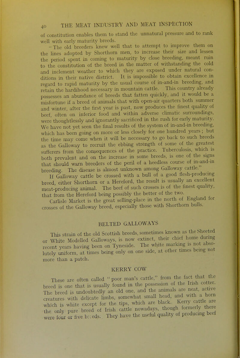 of constitution enables them to stand the unnatural pressure and to rank well with early maturity breeds. << The old breeders knew well that to attempt to improve them on the lines adopted by Shorthorn men, to increase their size and lessen the period spent in coming to maturity by close breeding, meant ruin to the constitution of the breed in the matter of withstanding the cold and inclement weather to which they are exposed under natural con- ditions in their native district. It is impossible to obtain excellence in regard to rapid maturity by the usual course of in-and-in breeding, and retain the hardihood necessary in mountain cattle. This country already possesses an abundance of breeds that fatten quickly, and it would be a misfortune if a breed of animals that with open-air quarters both summer and winter, after the first year is past, now produces the finest quality of beef, often on inferior food and within adverse climatic surroundings, were thoughtlessly and ignorantly sacrificed in the rush for early maturity. We have not yet seen the final results of the system of in-and-in breeding, which has been going on more or less closely for one hundred years; but the time may come when it will be necessary to go back to such breeds as the Galloway to recruit the ebbing strength of some of the greatest sufferers from the consequences of the practice. Tuberculosis, which is both prevalent and on the increase in some breeds, is one of the signs that should warn breeders of the peril of a heedless course of m-and-m breeding The disease is almost unknown among Galloway cattle. If Galloway cattle be crossed with a bull of a good flesh-producing breed either Shorthorn or a Hereford, the result is usually an excellent meat-producing animal. The beef of such crosses is of the finest quality, that from the Hereford being possibly the better of the two. Carlisle Market is the great selling-place in the north of England for crosses of the Galloway breed, especially those with Shorthorn bulls. BELTED GALLOWAYS This strain of the old Scottish breeds, sometimes known as the Sheeted or White Modelled Galloways, is now extinct, their chief home during recent years having been on Tyneside. The white marking is not abso- lutely uniform, at times being only on one side, at other times being not more than a patch. KERRY COW These are often called « poor man's cattle, from the fact that the breed is one that is usually found in the possession of the Irish cotter The breed is undoubtedly an old one, and the animals are neat, active creatures with delicate limbs, somewhat small head, and with ahorn which is white except for the tips, which are black. Kerry cattle are The on y pure breed of Irish cattle nowadays, though formerly there were four or five brc eds. They have the useful quality of producing beef
