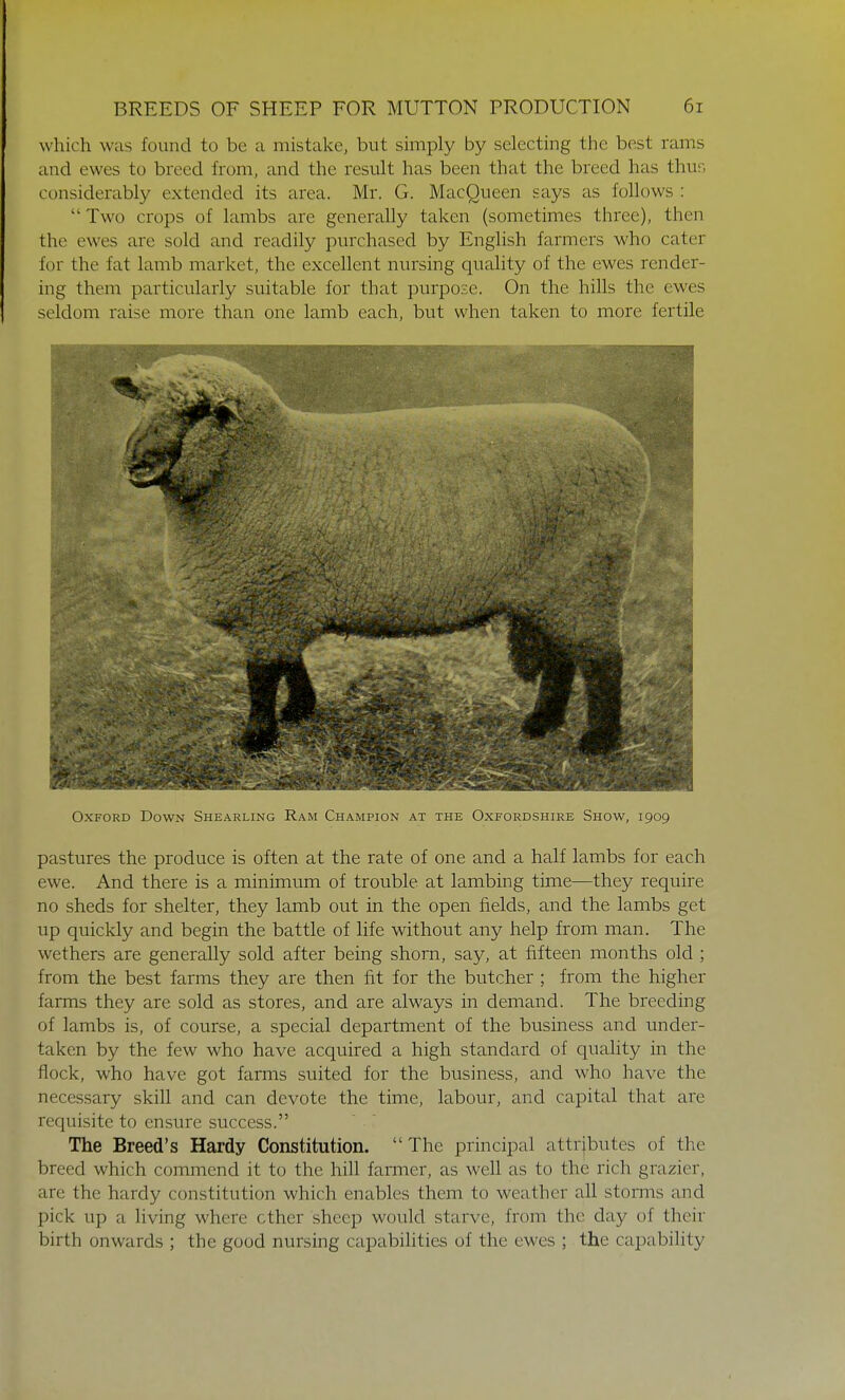 which was found to be a mistake, but simply by selecting the best rams and ewes to breed from, and the result has been that the breed has thus considerably extended its area. Mr. G. MacQueen says as follows : Two crops of lambs are generally taken (sometimes three), then the ewes are sold and readily purchased by English farmers who catei for the fat lamb market, the excellent nursing quality of the ewes render- ing them particularly suitable for that purpose. On the hills the ewes seldom raise more than one lamb each, but when taken to more fertile Oxford Down Shearling Ram Champion at the Oxfordshire Show, 1909 pastures the produce is often at the rate of one and a half lambs for each ewe. And there is a minimum of trouble at lambing time—they require no sheds for shelter, they lamb out in the open fields, and the lambs get up quickly and begin the battle of life without any help from man. The wethers are generally sold after being shorn, say, at fifteen months old ; from the best farms they are then fit for the butcher ; from the higher farms they are sold as stores, and are always in demand. The breeding of lambs is, of course, a special department of the business and under- taken by the few who have acquired a high standard of quality in the flock, who have got farms suited for the business, and who have the necessary skill and can devote the time, labour, and capital that are requisite to ensure success. The Breed's Hardy Constitution. The principal attributes of the breed which commend it to the hill farmer, as well as to the rich grazier, are the hardy constitution which enables them to weather all storms and pick up a living where ether sheep would starve, from the day of their birth onwards ; the good nursing capabilities of the ewes ; the capability
