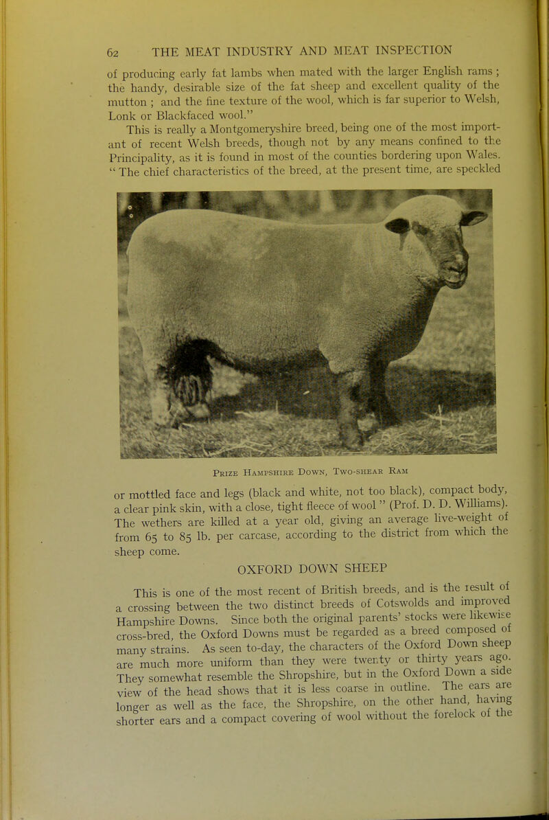of producing early fat lambs when mated with the larger English rams ; the handy, desirable size of the fat sheep and excellent quality of the mutton ; and the fine texture of the wool, which is far superior to Welsh, Lonk or Blackfaced wool. This is really a Montgomeryshire breed, being one of the most import- ant of recent Welsh breeds, though not by any means confined to the Principality, as it is found in most of the counties bordering upon Wales.  The chief characteristics of the breed, at the present time, are speckled Prize Hampshire Down, Two-shear Ram or mottled face and legs (black and white, not too black), compact body, a clear pink skin, with a close, tight fleece of wool  (Prof. D. D. Williams). The wethers are killed at a year old, giving an average live-weight of from 65 to 85 lb. per carcase, according to the district from which the sheep come. OXFORD DOWN SHEEP This is one of the most recent of British breeds, and is the result of a crossing between the two distinct breeds of Cotswolds and improved Hampshire Downs. Since both the original parents' stocks were likewise cross-bred, the Oxford Downs must be regarded as a breed composed oi many strains. As seen to-day, the characters of the Oxford Down sheep are much more uniform than they were twenty or thirty years ago. They somewhat resemble the Shropshire, but in the Oxford Down a side view of the head shows that it is less coarse in outline. The ears are longer as well as the face, the Shropshire, on the other hand having shorter ears and a compact covering of wool without the forelock of the