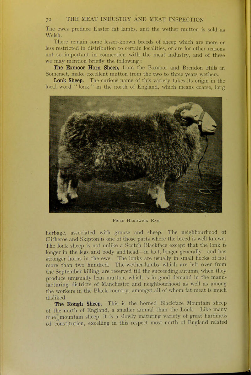 The ewes produce Easter fat lambs, and the wether mutton is sold as Welsh. There remain some lesser-known breeds of sheep which are more or less restricted in distribution to certain localities, or are for other reasons not so important in connection with the meat industry, and of these we may mention briefly the following : The Exmoor Horn Sheep, from the Exmoor and Brendon Hills in Somerset, make excellent mutton from the two to three years wethers. Lonk Sheep. The curious name of this variety takes its origin in the local word  lonk  in the north of England, which means coarse, lorg Prize Herdwick Ram herbage, associated with grouse and sheep. The neighbourhood of Clitheroe and Skipton is one of those parts where the breed is well know. The lonk sheep is not unlike a Scotch Blackface except that the lonk is longer in the legs and body and head—in fact, longer generally—and has stronger horns in the ewe. The lonks are usually in small flocks of not more than two hundred. The wether-lambs, which are left over from the September killing, are reserved till the'succeeding autumn, when they produce unusually lean mutton, which is in good demand in the manu- facturing districts of Manchester and neighbourhood as well as among the workers in the Black country, amongst all of whom fat meat is much disliked. The Rough Sheep. This is the horned Blackface Mountain sheep of the north of England, a smaller animal than the Lonk. Like many trueT mountain sheep, it is a slowly maturing variety of great hardiness of constitution, excelling in this respect most north of Ergland related