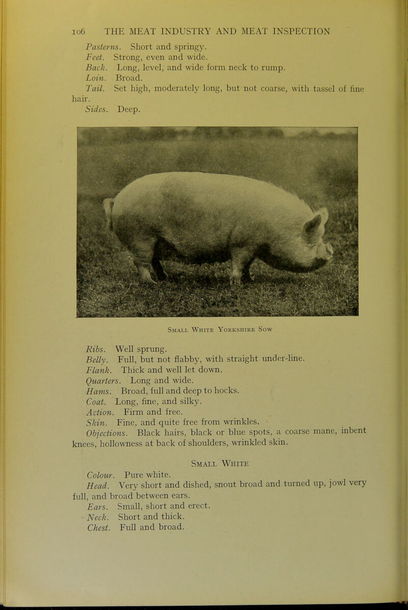Pasterns. Short and springy. Feet. Strong, even and wide. Back. Long, level, and wide form neck to rump. Loin. Broad. Tail. Set high, moderately long, but not coarse, with tassel of fine hair. Sides. Deep. Small White Yorkshire Sow Ribs. Well sprung. Belly. Full, but not flabby, with straight under-line. Flank. Thick and well let down. Quarters. Long and wide. Hams. Broad, full and deep to hocks. Coat. Long, fine, and silky. Action. Firm and free. Skin. Fine, and quite free from wrinkles. ■ Objections. Black hairs, black or blue spots, a coarse mane, inbent knees, hollowness at back of shoulders, wrinkled skin. Small White Colour. Pure white. Head. Very short and dished, snout broad and turned up, jowl very full, and broad between ears. Ears. Small, short and erect. - Neck. Short and thick. Chest. Full and broad.
