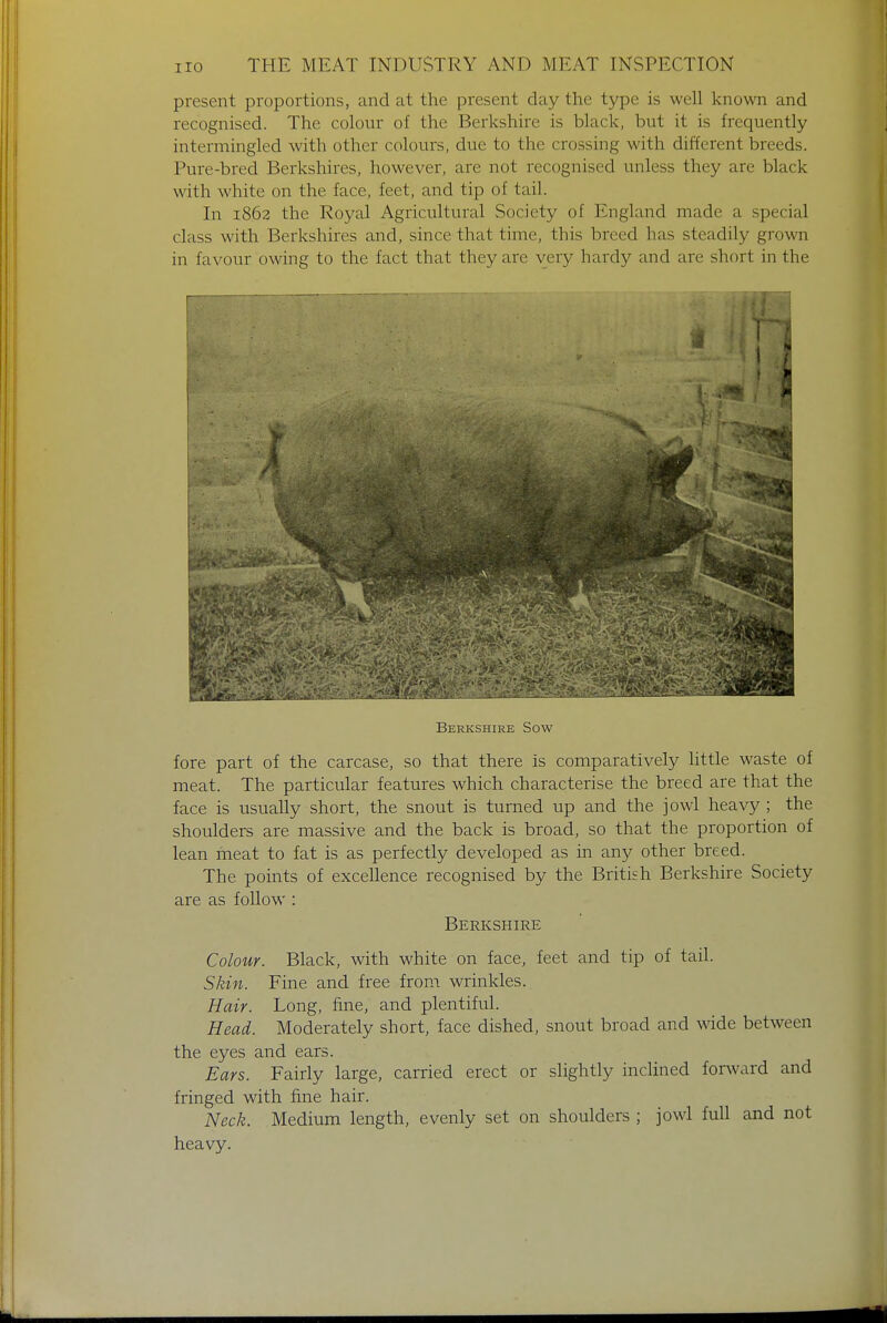 present proportions, and at the present clay the type is well known and recognised. The colour of the Berkshire is black, but it is frequently intermingled with other colours, due to the crossing with different breeds. Pure-bred Berkshires, however, are not recognised unless they are black with white on the face, feet, and tip of tail. In 1862 the Royal Agricultural Society of England made a special class with Berkshires and, since that time, this breed has steadily grown in favour owing to the fact that they are very hardy and are short in the ~~~~ ~~^Xj M Berkshire Sow fore part of the carcase, so that there is comparatively little waste of meat. The particular features which characterise the breed are that the face is usually short, the snout is turned up and the jowl heavy ; the shoulders are massive and the back is broad, so that the proportion of lean meat to fat is as perfectly developed as in any other breed. The points of excellence recognised by the British Berkshire Society are as follow : Berkshire Colour. Black, with white on face, feet and tip of tail. Skin. Fine and free from wrinkles. Hair. Long, fine, and plentiful. Head. Moderately short, face dished, snout broad and wide between the eyes and ears. Ears. Fairly large, carried erect or slightly inclined forward and fringed with fine hair. Neck. Medium length, evenly set on shoulders ; jowl full and not heavy.