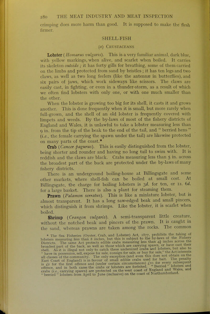 crimping does more harm than good. It is supposed to make the flesh firmer. SHELL-FISH (a) Crustaceans Lobster (Homarus vulgaris). This is a very familiar animal, dark blue, with yellow markings, when alive, and scarlet when boiled. It carries its skeleton outside ; it has forty gills for breathing, some of them carried on the limbs and protected from sand by bristles ; it has ten legs and two claws, as well as two long feelers (like the antennae in butterflies), and six pairs of jaws, which work sideways like scissors. The claws are easily cast, in fighting, or even in a thunder-storm, as a result of which we often find lobsters with only one, or with one much smaller than the other. When the lobster is growing too big for its shell, it casts it and grows another. This is done frequently when it is small, but more rarely when full-grown, and the shell of an old lobster is frequently covered with limpets and weeds. By the by-laws of most of the fishery districts of England and Wales, it is unlawful to take a lobster measuring less than 9 in. from the tip of the beak to the end of the tail, and  berried hens  {i.e., the female carrying the spawn under the tail) are likewise protected on many parts of the coast.* Crab (Cancer pagurus). This is easily distinguished from the lobster, being shorter and rounder and having no long tail to swim with. It is reddish and the claws are black. Crabs measuring less than 5 in. across the broadest part of the back are protected under the by-laws of many fishery districts. There is an underground boiling-house at Billingsgate and some other markets, where shell-fish can be boiled at small cost. At Billingsgate, the charge for boiling lobsters is 3d. for ten, or is. 6d. for a large basket. There is also a plant for steaming them. Prawn (Palamon serratus). This is like a miniature lobster, but is almost transparent. It has a long saw-edged beak and small pincers, which distinguish it from shrimps. Like the lobster, it is scarlet when boiled. Shrimp (Crangon vulgaris). A semi-transparent little creature, without the notched beak and pincers of the prawn. It is caught in the sand, whereas prawns are taken among the rocks. The common * The Sea Fisheries (Oyster, Crab, and Lobster) Act, 1877, prohibits the taking of lobsters measuring less than 8 inches, but this is subject to the by-laws of the Hsnery Districts. The same Act protects edible crabs measuring less than 4i inches across trie broadest part of the back, as well as those which are carrying spawn or have cast their shell. As it is illegal not only to catch these undersized crabs and lobsters, but also to  have in possession, sell, expose for sale, consign for sale, or buy for sale, the Act interests all classes of the community. The only exception (and even this does not obtain on the East Coast of England) is in favour of small edible crabs used for bait. I he penalty is £2 for the first offence and (under certain circumstances) £ro for every subsequent offence, and in both cases the crabs or lobsters are forfeited  Berried lobsters and crabs (i.e., carrying spawn) are protected on the west coast of England and Wales, and  berried  lobsters from April to June (inclusive) on the coast of Northumberland.
