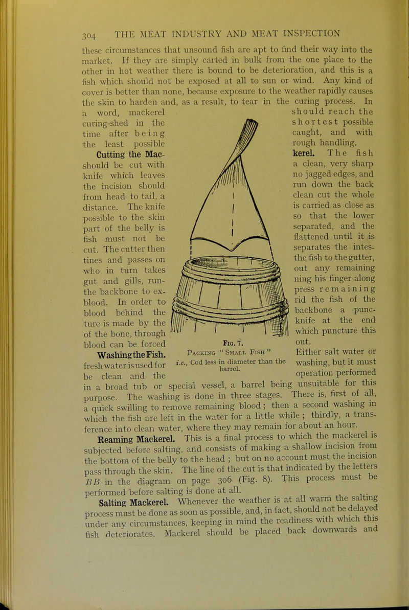 these circumstances that unsound fish are apt to find their way into the market. If they are simply carted in bulk from the one place to the other in hot weather there is bound to be deterioration, and this is a fish which should not be exposed at all to sun or wind. Any kind of cover is better than none, because exposure to the weather rapidly causes the skin to harden and, as a result, to tear in the curing process. In a word, mackerel curing-shed in the time after being the least possible Cutting the Mac- should be cut with knife which leaves the incision should from head to tail, a distance. The knife possible to the skin part of the belly is fish must not be cut. The cutter then tines and passes on who in turn takes gut and gills, run- the backbone to ex- blood. In order to blood behind the ture is made by the of the bone, through blood can be forced Washing the Fish, freshwater is used for be clean and the Fio. 7. Packing  Small Fish  i.e., Cod less in diameter than the barrel. should reach the shortest possible caught, and with rough handling, kerel. The fish a clean, very sharp no jagged edges, and run down the back clean cut the whole is carried as close as so that the lower separated, and the flattened until it is separates the intes- the fish to the gutter, out any remaining ning his finger along press remaining rid the fish of the backbone a punc- knife at the end which puncture this out. Either salt water or washing, but it must operation performed in a broad tub or special vessel, a barrel being unsuitable for this purpose. The washing is done in three stages. There is, first of all, a quick swilling to remove remaining blood; then a second washing in which the fish are left in the water for a little while ; thirdly, a trans- ference into clean water, where they may remain for about an hour. Reaming Mackerel. This is a final process to which the mackerel is subjected before salting, and consists of making a shallow incision from the bottom of the belly to the head ; but on no account must the incision pass through the skin. The line of the cut is that indicated by the letters BB in the diagram on page 306 (Fig. 8). This process must be performed before salting is done at all. Salting Mackerel. Whenever the weather is at all warm the salting process must be done as soon as possible, and, in fact, should not be delayed under any circumstances, keeping in mind the readiness with which this fish deteriorates. Mackerel should be placed back downwards and