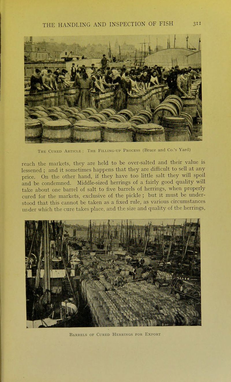 The Cured Article : The Filling-up Process (Bruce and Co.'s Yard) reach the markets, they are held to be over-salted and their value is lessened ; and it sometimes happens that they are difficult to sell at any price. On the other hand, if they have too little salt they will spoil and be condemned. Middle-sized herrings of a fairly good quality will take about one barrel of salt to five barrels of herrings, when properly cured for the markets, exclusive of the pickle ; but it must be under- stood that this cannot be taken as a fixed rule, as various circumstances under which the cure takes place, and the size and quality of the herrings, Barrels of Cured Herrings for Export