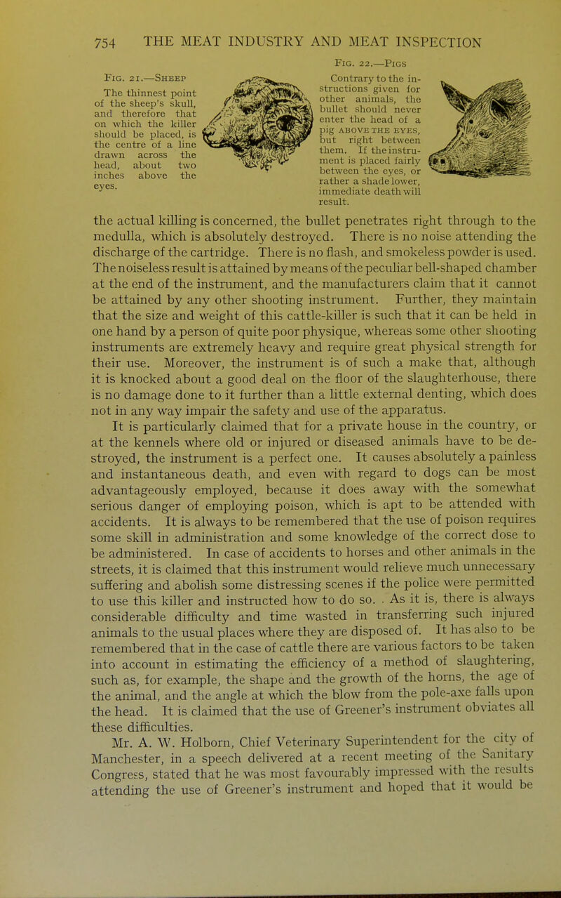 Fig. 21.—Sheep The thinnest point of the sheep's skull, and therefore that on which the killer should be placed, is the centre of a line drawn across the head, about two inches above the eyes. Fig. 22.—Pigs Contrary to the in- structions given for other animals, the bullet should never enter the head of a pig ABOVE THE EYES, but right between them. If the instru- ment is placed fairly between the eyes, or rather a shade lower, immediate death will result. the actual killing is concerned, the bullet penetrates right through to the medulla, which is absolutely destroyed. There is no noise attending the discharge of the cartridge. There is no flash, and smokeless powder is used. The noiseless result is attained by means of the peculiar bell-shaped chamber at the end of the instrument, and the manufacturers claim that it cannot be attained by any other shooting instrument. Further, they maintain that the size and weight of this cattle-killer is such that it can be held in one hand by a person of quite poor physique, whereas some other shooting instruments are extremely heavy and require great physical strength for their use. Moreover, the instrument is of such a make that, although it is knocked about a good deal on the floor of the slaughterhouse, there is no damage done to it further than a little external denting, which does not in any way impair the safety and use of the apparatus. It is particularly claimed that for a private house in the country, or at the kennels where old or injured or diseased animals have to be de- stroyed, the instrument is a perfect one. It causes absolutely a painless and instantaneous death, and even with regard to dogs can be most advantageously employed, because it does away with the somewhat serious danger of employing poison, which is apt to be attended with accidents. It is always to be remembered that the use of poison requires some skill in administration and some knowledge of the correct dose to be administered. In case of accidents to horses and other animals in the streets, it is claimed that this instrument would reheve much unnecessary suffering and aboHsh some distressing scenes if the police were permitted to use this killer and instructed how to do so. . As it is, there is always considerable difficulty and time wasted in transferring such injured animals to the usual places where they are disposed of. It has also to be remembered that in the case of cattle there are various factors to be taken into account in estimating the efficiency of a method of slaughtering, such as, for example, the shape and the growth of the horns, the age of the animal, and the angle at which the blow from the pole-axe falls upon the head. It is claimed that the use of Greener's instrament obviates all these difficulties. Mr. A. W. Holborn, Chief Veterinary Superintendent for the city of Manchester, in a speech delivered at a recent meeting of the Sanitary Congress, stated that he was most favourably impressed with the results attending the use of Greener's instrument and hoped that it would be