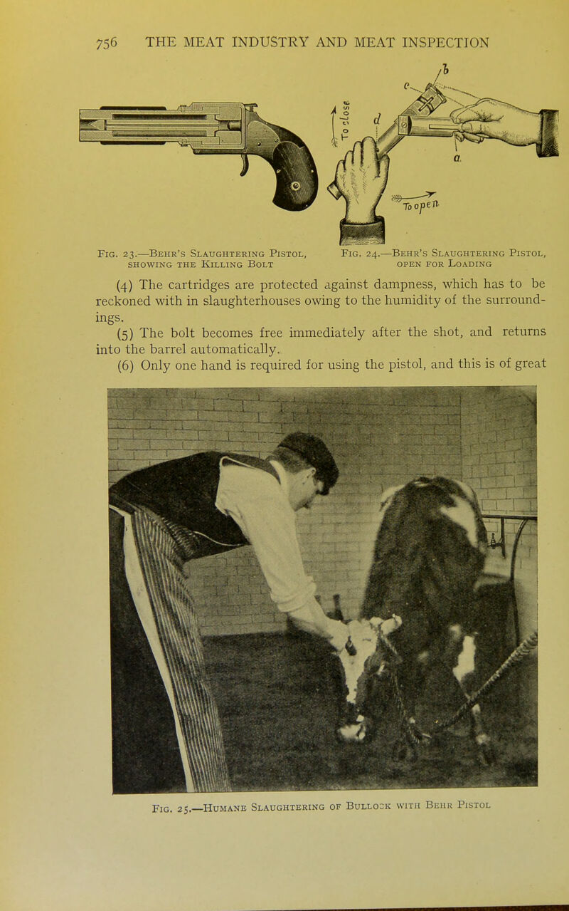 /I Fig. 23.—Behr's Slaughtering Pistol, Fig. 24.—Behr's Slaughtering Pistol, showing the killing bolt open for loading (4) The cartridges are protected against dampness, which has to be reckoned with in slaughterhouses owing to the humidity of the surround- ings. (5) The bolt becomes free immediately after the shot, and returns into the barrel automatically. (6) Only one hand is required for using the pistol, and this is of great FiG. 25.—Humane Slaughtering of Bullo=k with Behr Pistol