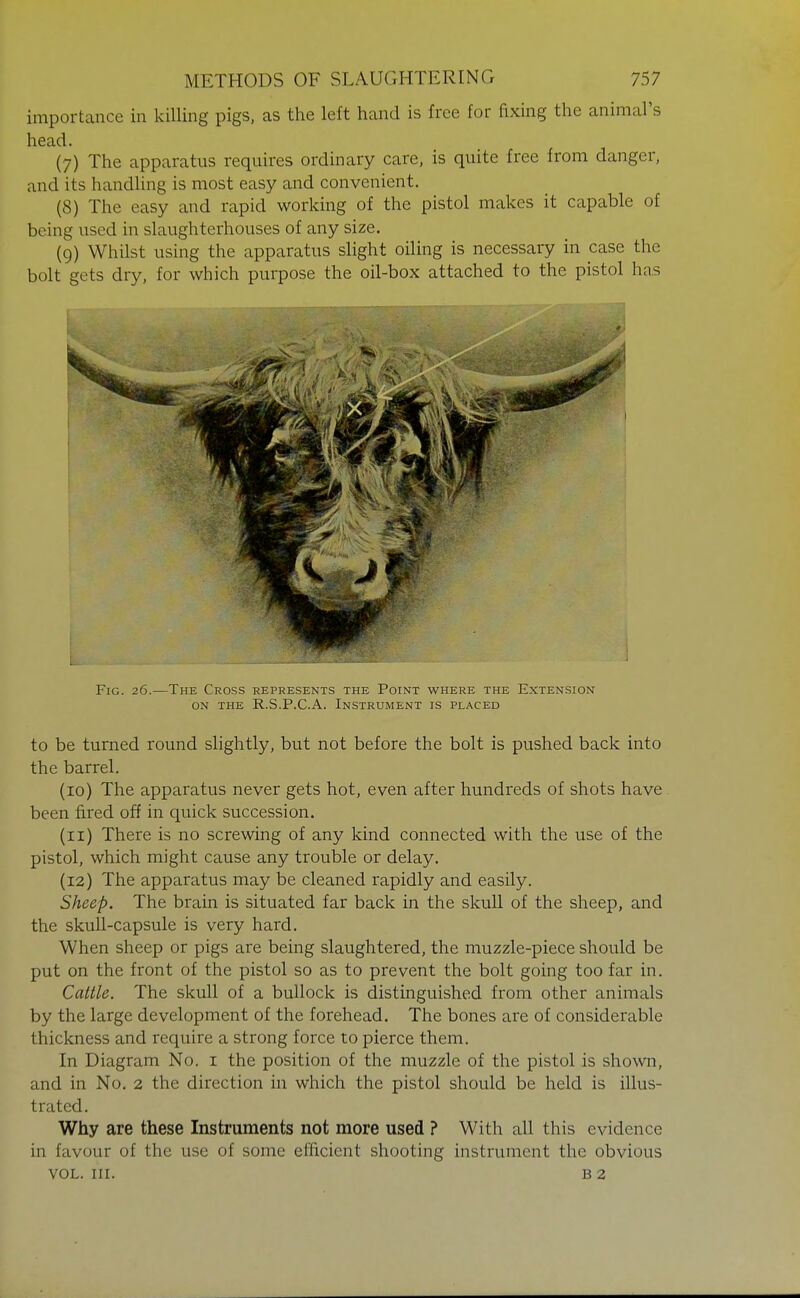 importance in kiUing pigs, as the left hand is free for fixing the animal's head. (7) The apparatus requires ordinary care, is quite free from danger, and its handling is most easy and convenient. (8) The easy and rapid working of the pistol makes it capable of being used in slaughterhouses of any size. (9) Whilst using the apparatus slight oiling is necessary in case the bolt gets dry, for which purpose the oil-box attached to the pistol has Fig. 26.—The Cross represents the Point where the Extension ON THE R.S.P.C.A. Instrument is placed to be turned round slightly, but not before the bolt is pushed back into the barrel. (10) The apparatus never gets hot, even after hundreds of shots have been fired off in quick succession. (11) There is no screwing of any kind connected with the use of the pistol, which might cause any trouble or delay. (12) The apparatus may be cleaned rapidly and easily. Sheep. The brain is situated far back in the skull of the sheep, and the skull-capsule is very hard. When sheep or pigs are being slaughtered, the muzzle-piece should be put on the front of the pistol so as to prevent the bolt going too far in. Cattle. The skull of a bullock is distinguished from other animals by the large development of the forehead. The bones are of considerable thickness and require a strong force to pierce them. In Diagram No. i the position of the muzzle of the pistol is shown, and in No. 2 the direction in which the pistol should be held is illus- trated. Why are these Instruments not more used ? With all this evidence in favour of the use of some efficient shooting instrument the obvious