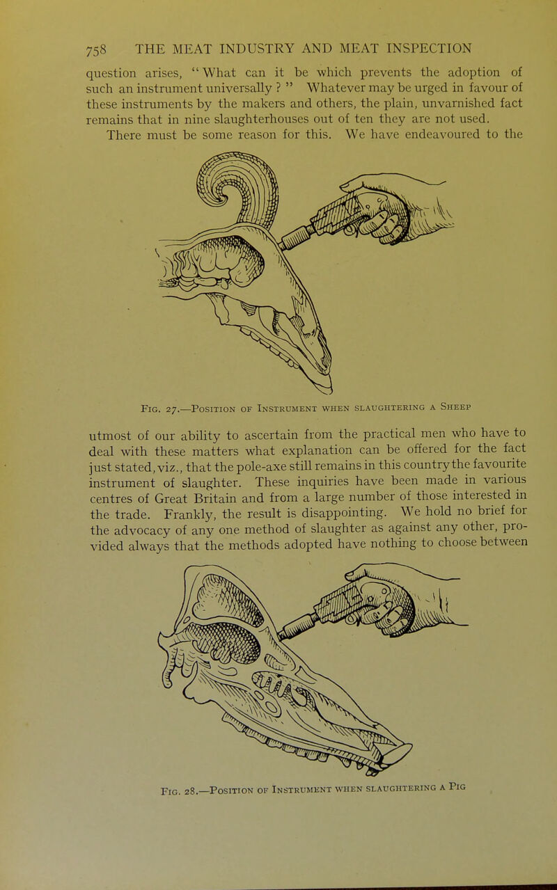 question arises,  What can it be which prevents the adoption of such an instrument universally ?  Whatever may be urged in favour of these instruments by the makers and others, the plain, unvarnished fact remains that in nine slaughterhouses out of ten they are not used. There must be some reason for this. We have endeavoured to the Fig. 27.—Position of Instrument when slaughtering a Sheep utmost of our ability to ascertain from the practical men who have to deal with these matters what explanation can be offered for the fact just stated, viz., that the pole-axe still remains in this country the favourite instrument of slaughter. These inquiries have been made in various centres of Great Britain and from a large number of those interested in the trade. Frankly, the result is disappointing. We hold no brief for the advocacy of any one method of slaughter as against any other, pro- vided always that the methods adopted have nothing to choose between Fig. 28.—Position of Instrument when slaughtering a Pig