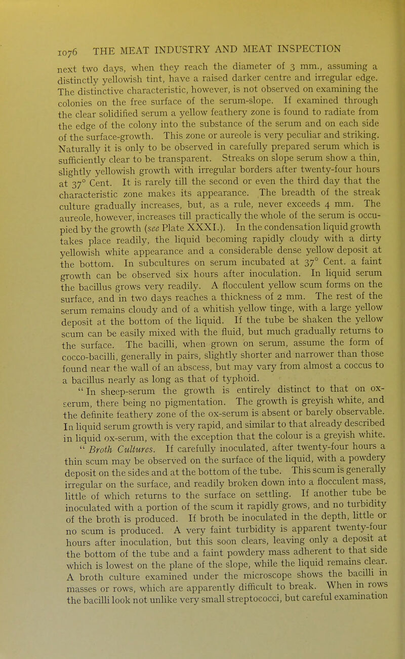 next two days, when they reach the diameter of 3 mm., assuming a distinctly yellowish tint, have a raised darker centre and irregular edge. The distinctive characteristic, however, is not observed on examining the colonies on the free surface of the serum-slope. If examined through the clear solidified serum a yellow feathery zone is found to radiate from the edge of the colony into the substance of the serum and on each side of the surface-growth. This zone or aureole is very pecuhar and striking. Naturally it is only to be observed in carefully prepared serum which is sufficiently clear to be transparent. Streaks on slope serum show a thin, slightly yellowish growth with irregular borders after twenty-four hours at 37° Cent. It is rarely till the second or even the third day that the characteristic zone makes its appearance. The breadth of the streak culture gradually increases, but, as a rule, never exceeds 4 mm. The aureole, however, increases till practically the whole of the serum is occu- pied by the growth {see Plate XXXI.). In the condensation liquid growth takes place readily, the liquid becoming rapidly cloudy with a dirty yellowish white appearance and a considerable dense yellow deposit at the bottom. In subcultures on serum incubated at 37° Cent, a faint growth can be observed six hours after inoculation. In liquid serum the bacillus grows very readily. A fiocculent yellow scum forms on the surface, and in two days reaches a thickness of 2 mm. The rest of the serum remains cloudy and of a whitish yellow tinge, with a large yellow deposit at the bottom of the liquid. If the tube be shaken the yellow scum can be easily mixed with the fluid, but much gradually returns to the surface. The bacilli, when grown on seram, assume the form of cocco-baciUi, generally in pairs, slightly shorter and narrower than those found near the wall of an abscess, but may vary from ahnost a coccus to a bacillus nearly as long as that of typhoid. In sheep-serum the growth is entirely distinct to that on ox- serum, there being no pigmentation. The growth is greyish white, and the definite leathery zone of the ox-serum is absent or barely observable. In liquid serum growth is very rapid, and similar to that already described in liquid ox-serum, with the exception that the colour is a greyish white.  Broth Cultures. If carefully inoculated, after twenty-four hours a thin scum may be observed on the surface of the liquid, with a powdery deposit on the sides and at the bottom of the tube. This scum is generally irregular on the surface, and readily broken down into a fiocculent mass, little of which returns to the surface on settling. If another tube be inoculated with a portion of the scum it rapidly grows, and no turbidity of the broth is produced. If broth be inoculated in the depth, little or no scum is produced. A very faint turbidity is apparent twenty-four hours after inoculation, but this soon clears, leaving only a deposit at the bottom of the tube and a faint powdery mass adherent to that side which is lowest on the plane of the slope, while the liquid remains clear. A broth culture examined under the microscope shows the bacilli in masses or rows, which are apparently difficult to break. When in rows the bacilli look not unlike very small streptococci, but careful examination