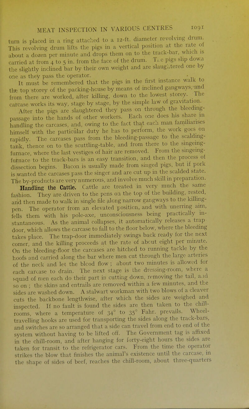turn is placed in a ring attached to a 12-ft. diameter revolving drum This revolving drum lifts the pigs in a vertical position at the rate ot about a dozen per minute and drops them on to the track-bar, which is carried at from 4 to 5 in. from the face of the drum. T.c pigs slip down the slightly inclined bar by their own weight and are slaug..tered one by one as they pass the operator. - It must be remembered that the pigs in the first instance walk to thB top storey of the packing-house by means of inclmed gangways, and from there are worked, after killing, down to the lowest storey, ihe carcase works its way, stage by stage, by the simple law of gravitation. After the pigs are slaughtered they pass on through the bleeding- passage into the hands of other workers. Each one does his share m handling the carcases, and, owing to the fact that each man famiharises himself with the particular duty he has to perform, the work goes on rapidly The carcases pass from the bleeding-passage to the scaldmg- tank thence on to the scuttling-table, and from there to the smgemg- furnace, where the last vestiges of hair are removed. From the smgemg- furnace to the track-bars is an easy transition, and then the process of dissection begins. Bacon is usually made from suiged pigs, but if pork is wanted the carcases pass the singer and are cut up in the scalded state. The by-products are very numerous, and involve much skill in preparation. Handling the Cattle. Cattle are treated in very much the sanie fashion. They are driven to the pens on the top of the building, rested, and then made to walk in single file along narrow gangways to the kiUmg- pen. The operator from an elevated position, and with unerring aim, fells them with his pole-axe, unconsciousness being practically in- stantaneous. As the animal collapses, it automatically releases a trap- door, which allows the carcase to fall to the floor below, where the bleeding takes place. The trap-door immediately swings back ready for the next comer, and the killing proceeds at the rate of about eight per minute. On the bleeding-floor the carcases are hitched to running tackle by the hoofs and carried along the bar where men cut through the large arteries of the neck and let the blcod flow ; about two minutes is allowed for each carcase to drain. The next stage is the dressing-room, where a 5-quad of men each do their part in cutting down, removing the tail, a.id so on ; the skins and entrails are removed within a few minutes, and the sides are washed down. A stalwart workman with two blows of a cleaver cuts the backbone lengthwise, after which the sides are weighed and inspected. If no fault is found the sides are then taken to the chill- rooms, where a temperature of 34° to 35° Fahr. prevails. Wheel- travelling hooks are used for transporting the sides along the track-bars, and switches are so arranged that a side can travel from end to end of the system without having to be lifted off. The Government tag is afiixed in the chill-room, and after hanging for forty-eight hours the sides are taken for transit to the refrigerator cars. From the time the operator strikes the blow that finishes the animal's existence until the carcase, in the shape of sides of beef, reaches the chill-room, about three-quarters