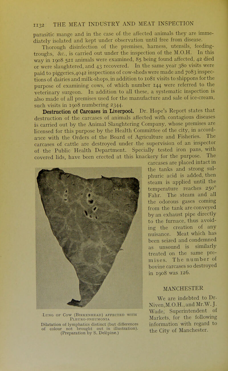 parasitic mange and in the case of the affected animals they are imme- diately isolated and kept under observation until free from disease. Thorough disinfection of the premises, harness, utensils, feeding- troughs, &c., is carried out under the inspection of the M.O.H. In this way in 1908 521 animals were examined, 85 being found affected, 42 died or were slaughtered, and 43 recovered. In the same year 380 visits were paid to piggeries,4042 inspections of cow-sheds were made and 7083 inspec- tions of dairies and milk-shops, in addition to 1081 visits to shippons for the purpose of examining cows, of which number 144 were referred to the veterinary surgeon. In addition to all these, a systematic inspection is also made of all premises used for the manufacture and sale of ice-cream, such visits in 1908 numbering 2344. Destruction oJ Carcases in Liverpool. Dr. Hope's Report states that destruction of the carcases of animals affected with contagious diseases is carried out by the Animal Slaughtering Company, whose premises are licensed for this purpose by the Health Committee of the city, in accord- ance with the Orders of the Board of Agriculture and Fisheries. The carcases of cattle are destroyed under the supervision of an inspector of the Public Health Department. Specially tested iron pans, with covered lids, have been erected at this knackery for the purpose. The carcases are placed intact in the tanks and strong sul- phuric acid is added, then steam is applied until the temperature reaches 250° Fahr. The steam and all the odorous gases coming from the tank are conveyed by an exhaust pipe directly to the furnace, thus avoid- ing the creation of any nuisance. Meat which has been seized and condemned as unsound is similarly treated on the same pre- mises. The number of bovine carcases so destroyed in 1908 was 126. MANCHESTER We are indebted to Dr. Niven,M.O.H., and Mr.W. J. Wade, Superintendent of Lung of Cow (Birkenhead) affected with ,r ^ ^ j i-u j-^ii^-„r;,,rr Pleuro-pneumonia Markets, for the followmg Dilatation of lymphatics distinct (but differences information with I'Cgard to of colour not brought out in illustration). the City of Manchester. (Preparation by S. Delcpine.) -^'^ ^^^y