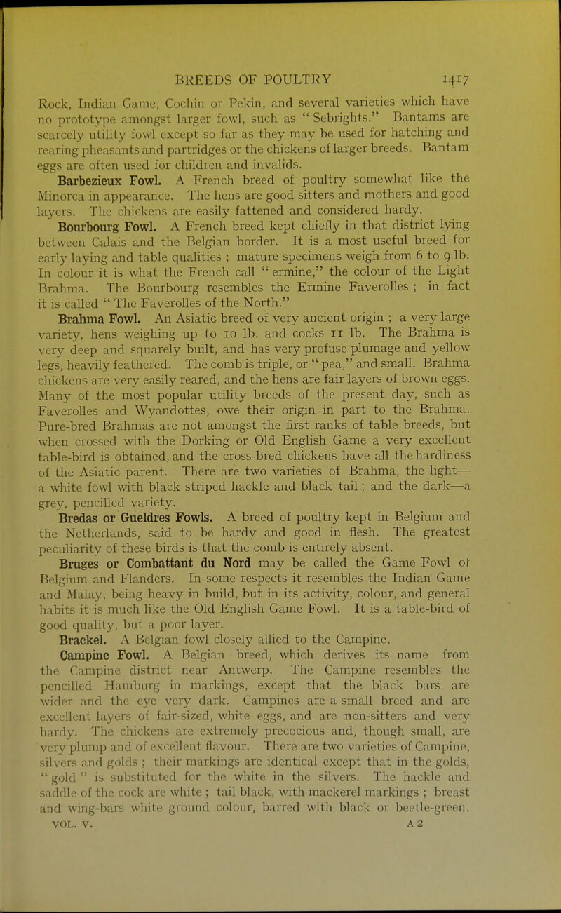 Rock, Indian Game, Cochin or Pekin, and several varieties which have no prototype amongst larger fowl, such as  Sebrights. Bantams are scarcely utility fowl except so far as they may be used for hatching and rearing pheasants and partridges or the chickens of larger breeds. Bantam eggs are often used for children and invalids. Barbezieux Fowl. A French breed of poultry somewhat like the Minorca in appearance. The hens are good sitters and mothers and good layers. The chickens are easily fattened and considered hardy. Bourbourg Fowl. A French breed kept chiefly in that district lying between Calais and the Belgian border. It is a most useful breed for early laying and table qualities ; mature specimens weigh from 6 to 9 lb. In colour it is what the French call  ermine, the colour of the Light Brahma. The Bourbourg resembles the Ermine Faverolles ; in fact it is called  The FaveroUes of the North. Brahma Fowl. An Asiatic breed of very ancient origin ; a very large variety, hens weighing up to 10 lb. and cocks 11 lb. The Brahma is very deep and squarely built, and has very profuse plumage and yellow legs, heavily feathered. The comb is triple, or  pea, and small. Brahma chickens are very easily reared, and the hens are fair layers of brown eggs. Many of the most popular utility breeds of the present day, such as Faverolles and Wyandottes, owe their origin in part to the Brahma. Pure-bred Brahmas are not amongst the first ranks of table breeds, but when crossed with the Dorking or Old English Game a very excellent table-bird is obtained, and the cross-bred chickens have all the hardiness of the Asiatic parent. There are two varieties of Brahma, the light— a white fowl with black striped hackle and black tail; and the dark—a grey, pencilled variety. Bredas or Gueldres Fowls. A breed of poultry kept in Belgium and the Netherlands, said to be hardy and good in flesh. The greatest peculiarity of these birds is that the comb is entirely absent. Bruges or Combattant du Nord may be called the Game Fowl of Belgium and Flanders. In some respects it resembles the Indian Game and Malay, being heavy in build, but in its activity, colour, and general habits it is much like the Old English Game Fowl. It is a table-bird of good quality, but a poor layer. Brackel. A Belgian fowl closely allied to the Campine. Campine Fowl. A Belgian breed, which derives its name from the Campine district near Antwerp. The Campine resembles the pencilled Hamburg in markings, except that the black bars are wider and the eye very dark. Campines are a small breed and are excellent layers of fair-sized, white eggs, and are non-sitters and very hardy. The chickens are extremely precocious and, though small, are very plump and of excellent flavour. There are two varieties of Campine, silvers and golds ; their markings are identical except that in the golds,  gold  is substituted for the white in the silvers. The hackle and saddle of the cock are white ; tail black, with mackerel markings ; breast and wing-bars white ground colour, barred with black or beetle-green.