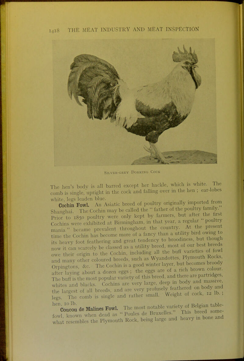 Silver-grey Dorking Cock The hen's bodv is all barred except her hackle, which is white. The comb is single/upright in the cock and falling over in the hen ; ear-lobes white, legs leaden blue. ^ x ™ Cochin Fowl. An Asiatic breed of poultry origmally imported from Shanghai. The Cochm may be called the  father of the poultry amily Prior to 1850 poultry were only kept by farmers, but after ^the first Cochins were exhibited at Birmingham, in that year, a regular poultry mania became prevalent throughout the country. At the present time the Cochin has become more of a fancy than a utility bird o^^ang to its heavy foot feathering and great tendency to broodmess, but though now It cL scarcely be classed as a utility breed, most of our best breed owl their origin to the Cochin, includmg all the buff varieties of fowl and many other coloured breeds, such as Wyandottes, Plymouth Rocks. OrpiSs &c. The Cochin is a good winter layer, but becomes broody Kymg about a dozen eggs ; the eggs are of a rich brown colour The bufJis fhe most popular variety of this breed, and ^--^^^ whites and blacks. Cochins are very large deep m body ^-^^'^^^'^^^ the largest of all breeds, and are very profusely featheied on body and legs The comb is smgle and rather small. Weight of cock. 12 lb. , n^c^ de M^lines ^w. . n.. i.t^^^^^^^ table- ^Z^S:X^Z^^^^^ and heavy m bone and