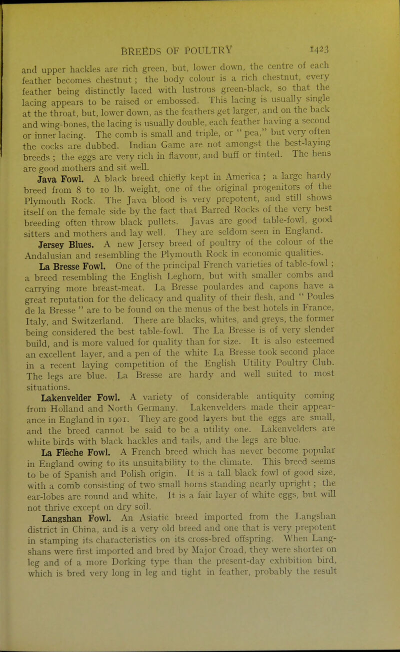 and upper hackles are rich green, but, lower down, the centre of each feather becomes chestnut ; the body colour is a rich chestnut, every feather being distinctly laced with lustrous green-black, so that the lacing appears to be raised or embossed. This lacing is usually smgle at the throat, but, lower down, as the feathers get larger, and on the back and wing-bones, the lacing is usually double, each feather having a second or inner lacing. The comb is small and triple, or  pea, but very often the cocks are dubbed. Indian Game are not amongst the best-laying breeds ; the eggs are very rich in flavour, and buff or tinted. The hens are good mothers and sit well. Java Fowl. A black breed chiefly kept in America ; a large hardy breed from 8 to lo lb. weight, one of the original progenitors of the Plymouth Rock. The Java blood is very prepotent, and still shows itself on the female side by the fact that Barred Rocks of the very best breeding often throw black pullets. Javas are good table-fowl, good sitters and mothers and lay well. They are seldom seen in England. Jersey Blues. A new Jersey breed of poultry of the colour of the Andalusian and resembling the Plymouth Rock in economic qualities. La Bresse Fowl. One of the principal French varieties of table-fowl; a breed resembling the Enghsh Leghorn, but with smaller combs and carr3dng more breast-meat. La Bresse poulardes and capons have a great reputation for the delicacy and quality of their flesh, and  Poules de la Bresse  are to be found on the menus of the best hotels in France, Italy, and Switzerland. There are blacks, whites, and greys, the former being considered the best table-fowl. The La Bresse is of very slender build, and is more valued for quality than for size. It is also esteemed an excellent layer, and a pen of the white La Bresse took second place in a recent laying competition of the EngHsh Utility Poultry Club. The legs are blue. La Bresse are hardy and well suited to most situations. Lakenvelder Fowl. A variety of considerable antiquity coming from Holland and North Germany. Lakenvelders made their appear- ance in England in 1901. They are good layers but the eggs are small, and the breed cannot be said to be a utility one. Lakenvelders are white birds with black hackles and tails, and the legs are blue. La Fleche Fowl. A French breed which has never become popular in England owing to its unsuitability to the climate. This breed seems to be of Spanish and Polish origin. It is a tall black fowl of good size, with a comb consisting of two small horns standing nearly upright ; the ear-lobes are round and white. It is a fair layer of white eggs, but will not thrive except on dry soil. Langshan Fowl. An Asiatic breed imported from the Langshan district in China, and is a very old breed and one that is very prepotent in stamping its characteristics on its cross-bred offspring. When Lang- shans were first imported and bred by Major Croad, they were shorter on leg and of a more Dorking type than the present-day exhibition bird, which is bred very long in leg and tight in feather, probably the result