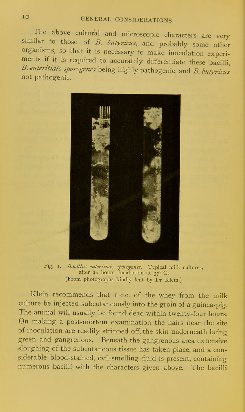 IO The above cultural and microscopic characters are very similar to those of B. butyricus, and probably some other organisms, so that it is necessary to make inoculation experi- ments if it is required to accurately differentiate these bacilli, B. e?iteritidis sporogenes being highly pathogenic, and B. butyriais not pathogenic. Fig. i. Bacillus enteritidis sporogenes. Typical milk cultures, after 24 hours' incubation at 370 C. (From photographs kindly lent by Dr Klein.) Klein recommends that 1 c.c. of the whey from the milk culture be injected subcutaneously into the groin of a guinea-pig. The animal will usually be found dead within twenty-four hours. On making a post-mortem examination the hairs near the site of inoculation are readily stripped off, the skin underneath being green and gangrenous. Beneath the gangrenous area extensive sloughing of the subcutaneous tissue has taken place, and a con- siderable blood-stained, evil-smelling fluid is present, containing numerous bacilli with the characters given above. The bacilli