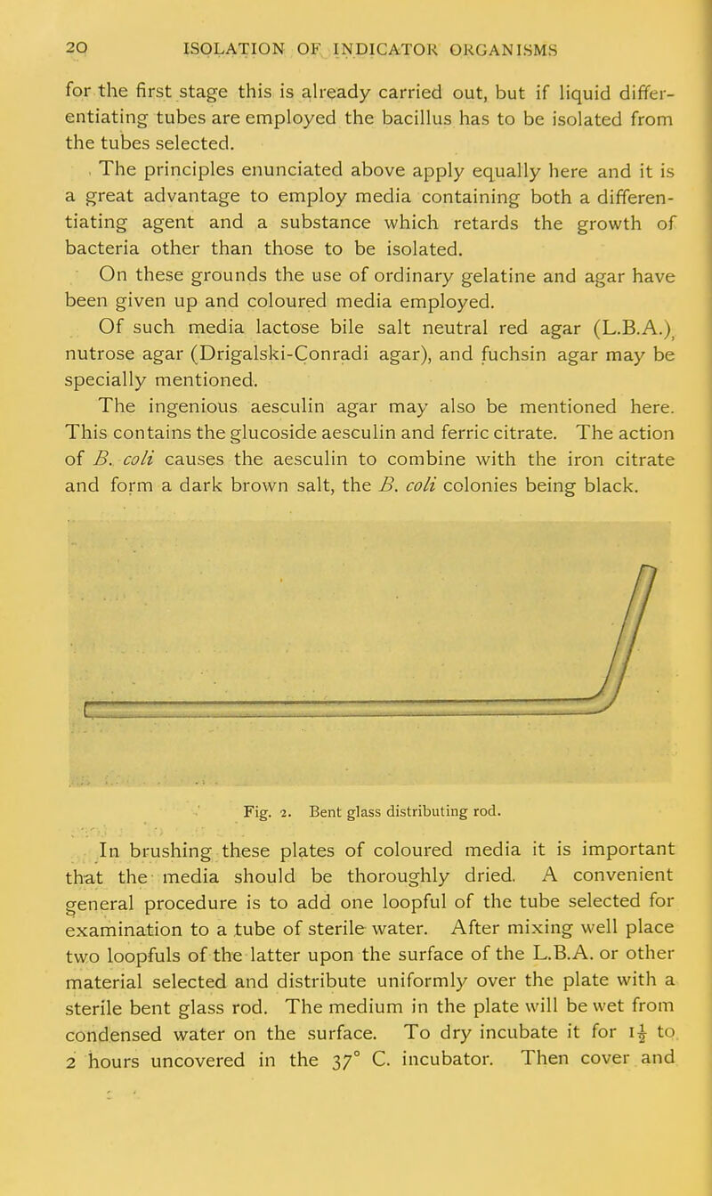 for the first stage this is already carried out, but if liquid differ- entiating tubes are employed the bacillus has to be isolated from the tubes selected. The principles enunciated above apply equally here and it is a great advantage to employ media containing both a differen- tiating agent and a substance which retards the growth of bacteria other than those to be isolated. On these grounds the use of ordinary gelatine and agar have been given up and coloured media employed. Of such media lactose bile salt neutral red agar (L.B.A.); nutrose agar (Drigalski-Conradi agar), and fuchsin agar may be specially mentioned. The ingenious aesculin agar may also be mentioned here. This contains the glucoside aesculin and ferric citrate. The action of B. coli causes the aesculin to combine with the iron citrate and form a dark brown salt, the B. coli colonies being black. Fig. 2. Bent glass distributing rod. In brushing these plates of coloured media it is important that the media should be thoroughly dried. A convenient general procedure is to add one loopful of the tube selected for examination to a tube of sterile water. After mixing well place two loopfuls of the latter upon the surface of the L.B.A. or other material selected and distribute uniformly over the plate with a sterile bent glass rod. The medium in the plate will be wet from condensed water on the surface. To dry incubate it for i£ to 2 hours uncovered in the 370 C. incubator. Then cover and