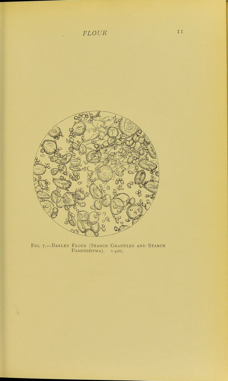 Fig. 7.—Barley Flour (Starch Granules and Starch Parenchyma). X420.