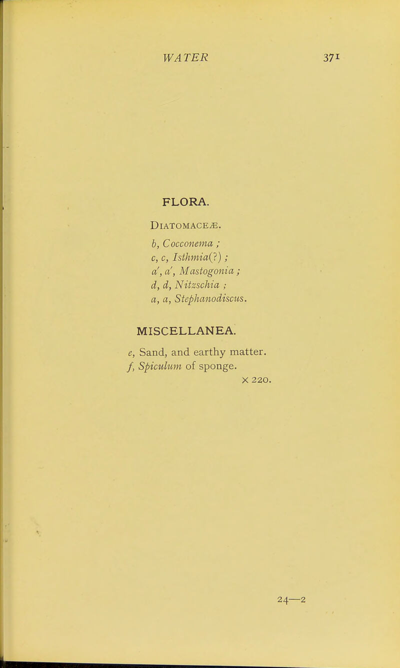 FLORA. Diatom ace^e. b, Cocconema ; c, c, Isthmia(?); a', a, Mastogonia ; d, d, Nitzschia ; a, a, Stephanodiscus. MISCELLANEA. e, Sand, and earthy matter. /, Spiculum of sponge. x 220. 24—2