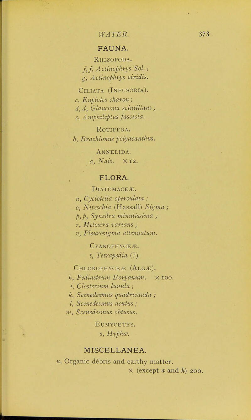FAUNA. Rhizopoda. /,/, Actinophrys Sol. ; g, Actinophrys viridis. Ciliata (Infusoria). c, Euplotes charon; d, d, Glaucoma scintillans; e, Amphileptus fasciola. Rotifera. b, Brachionus polyacanthus. Annelida. a, Nais. X 12. FLORA. DlATOMACE^E. n, Cyclotella operculata ; 0, Nitzschia (Hassail) Sigma ; p,p, Synedra minutissima ; r, Melosira varians ; v, Pleurosigma attenuatum. Cyanophyce,e. t, Tetrapedia (?). Chlorophyce^e (Alg^e). h, Pediastrum Boryanum. X 100. i, Closterium lunula; k, Scenedesmus quadricauda ; /, Scenedesmus acutus ; to, Scenedesmus obtusus. Eumycetes. s, Hyphcz. MISCELLANEA. u, Organic debris and earthy matter. x (except a and h) 200.